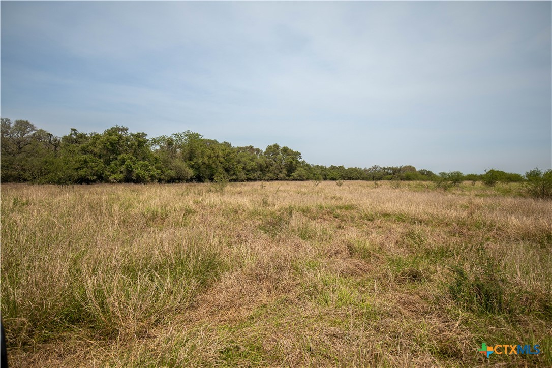 Cuero, Texas, 77954, United States, ,Residential,For Sale,1950887