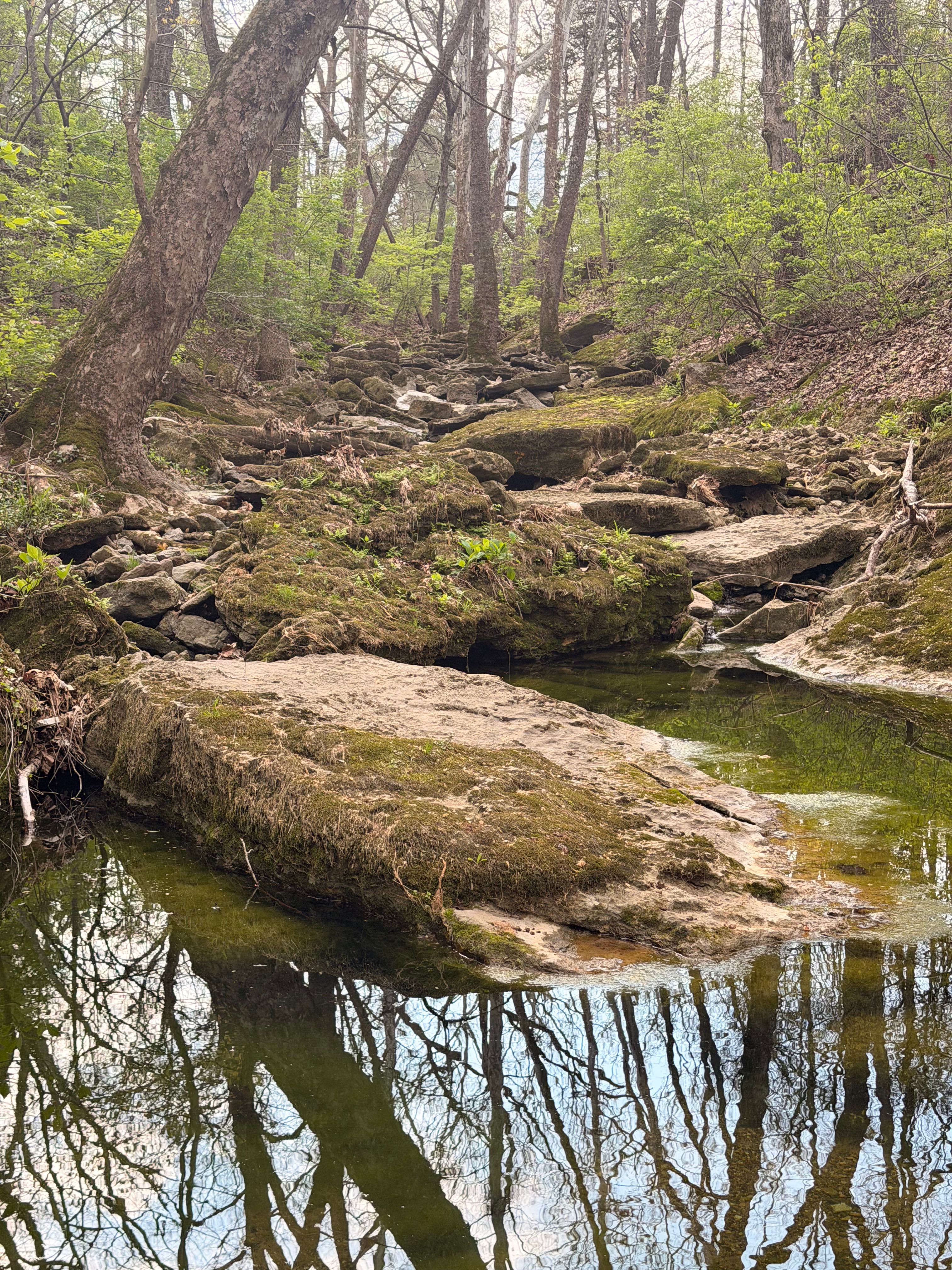  1574 Wales Run Road, Mount Washington, KY 40047 - 物件實景