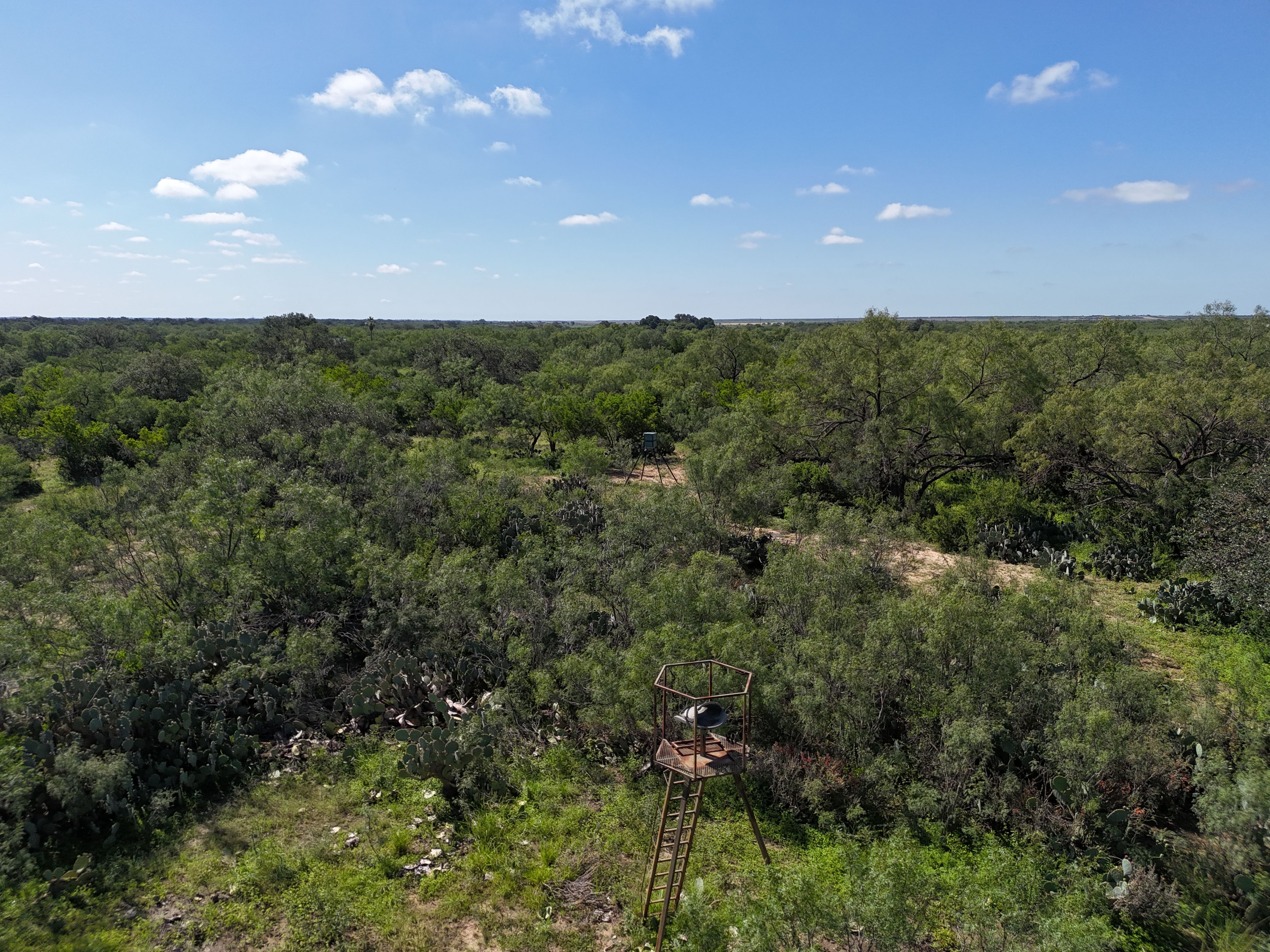  Apache Hill Ranch in Uvalde County - 物件實景