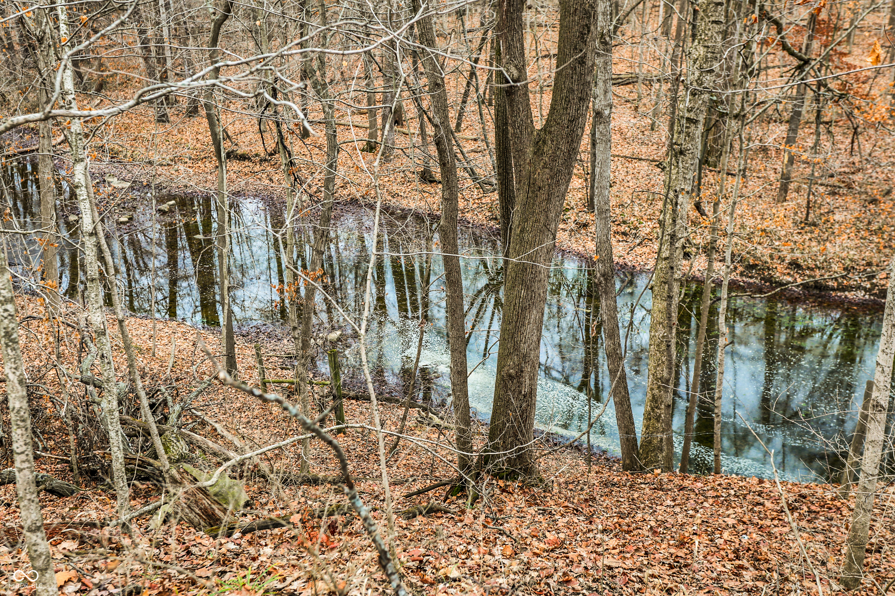 Arcadia, Indiana, 46030, United States, ,Residential,For Sale,2009642