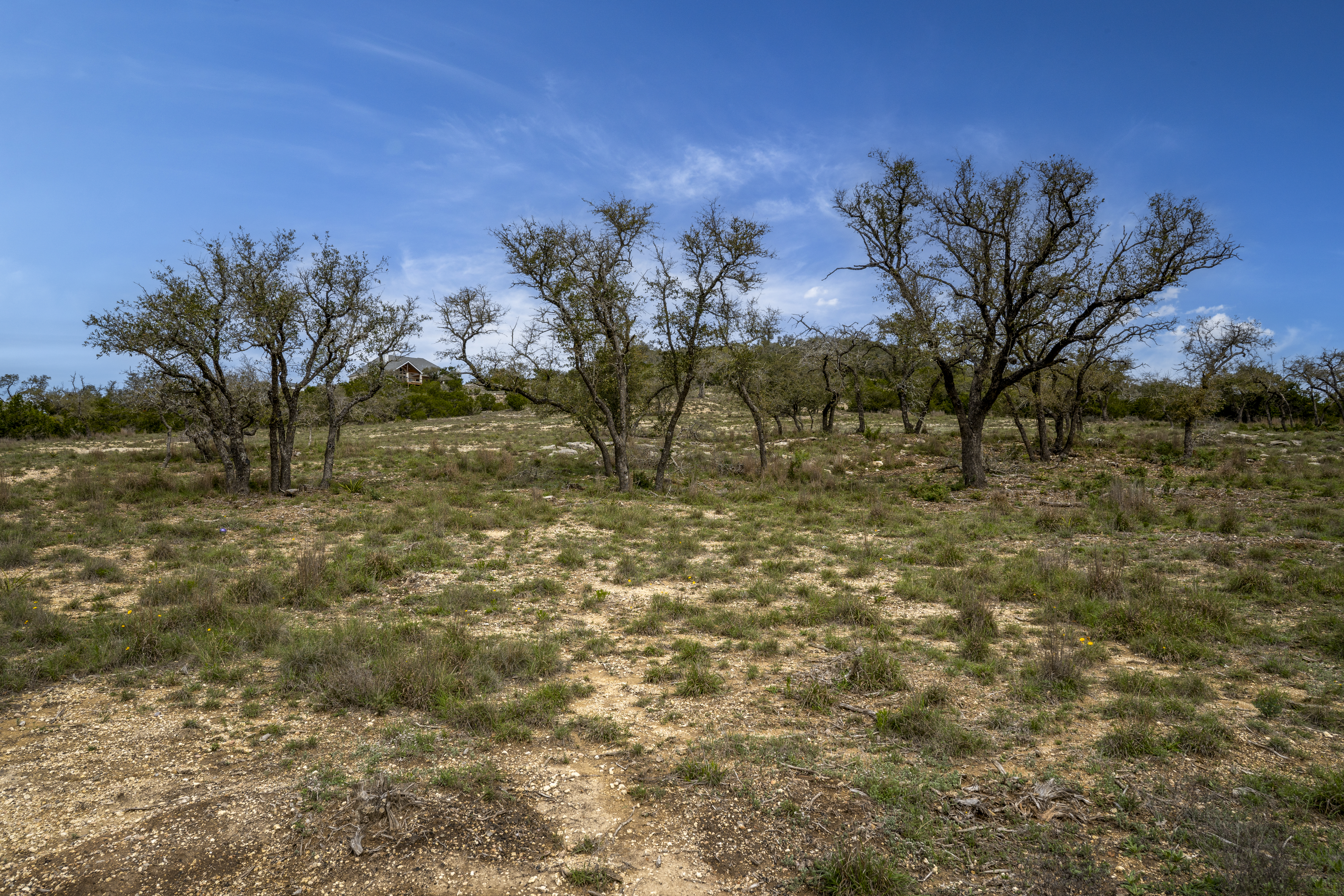  Lot 66 Majestic Hills Drive, Blanco, TX 78606 - 物件實景