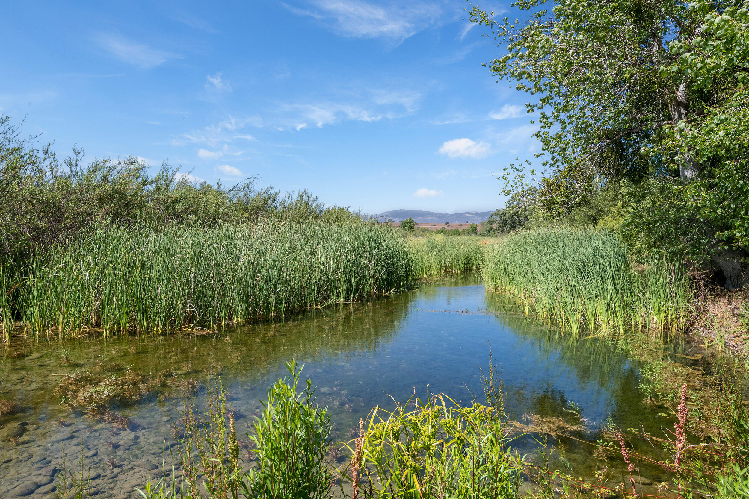 Santa Ynez, California, 93460, United States, 3 Bedrooms Bedrooms, ,6 BathroomsBathrooms,Residential,For Sale,1709883