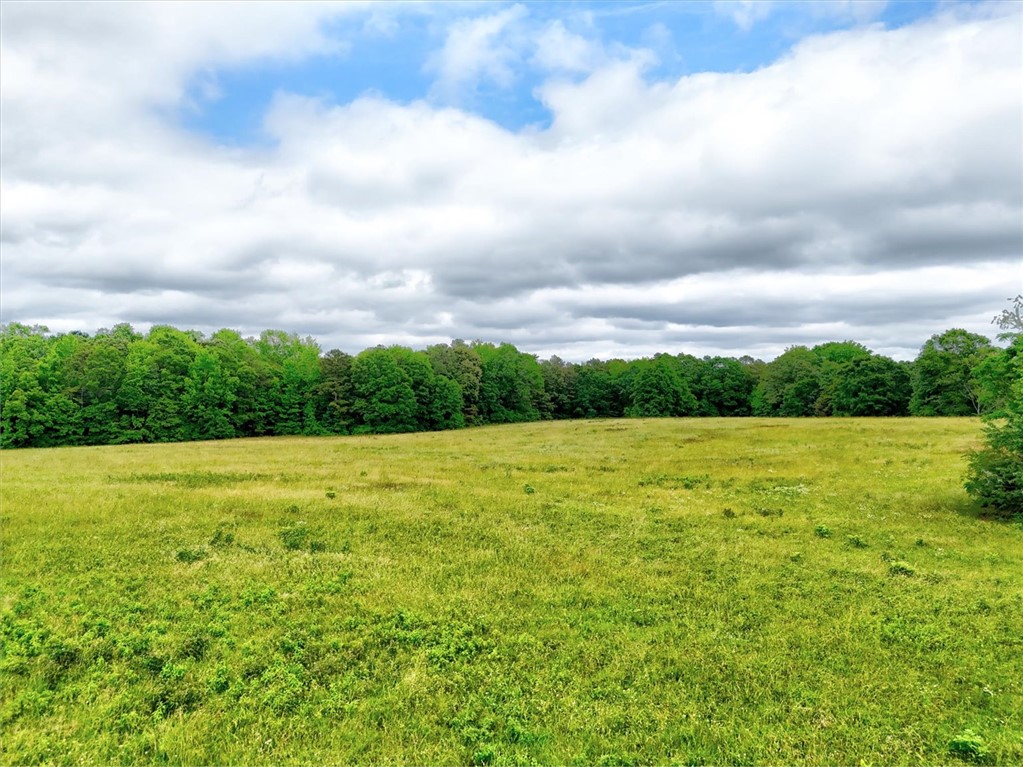 Belton, South Carolina, 29627, United States, ,Land,For Sale,1849794