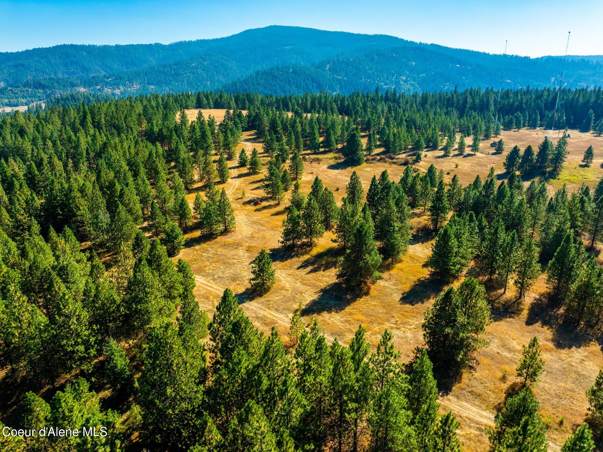 Harrison, Idaho, 83833, United States, 2 Bedrooms Bedrooms, ,Residential,For Sale,1955439