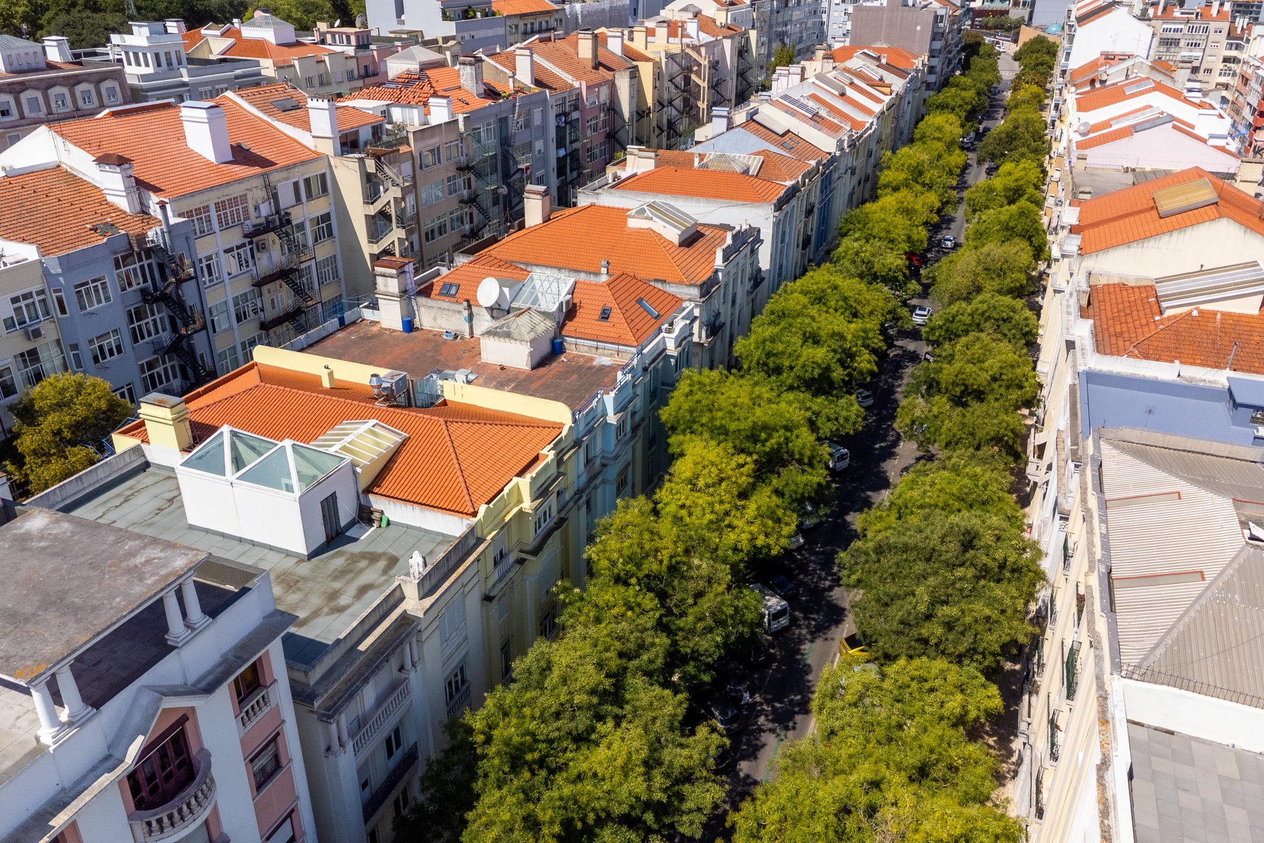 Flat, 3 bedrooms, for Sale - 物件實景
