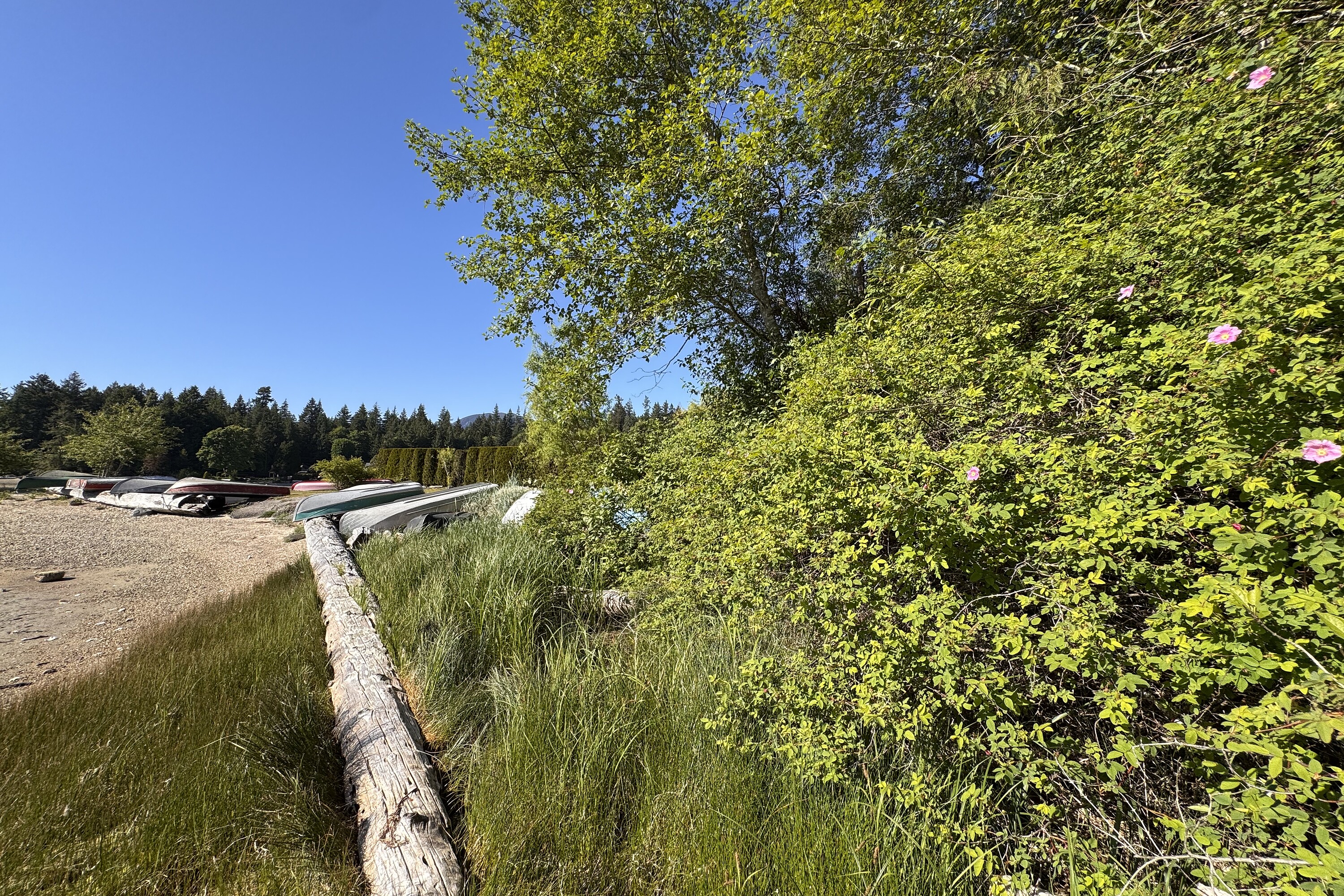  Sechelt, Sunshine Coast - 物件實景
