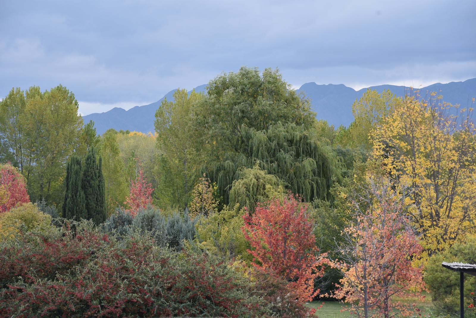 Lujan De Cuyo, AR-M, AR, 5 Bedrooms Bedrooms, ,8 BathroomsBathrooms,Residential,For Sale,1999071