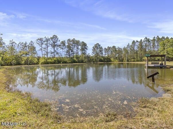 Vancleave, Mississippi, 39565, United States, 3 Bedrooms Bedrooms, ,3 BathroomsBathrooms,Residential,For Sale,1975033