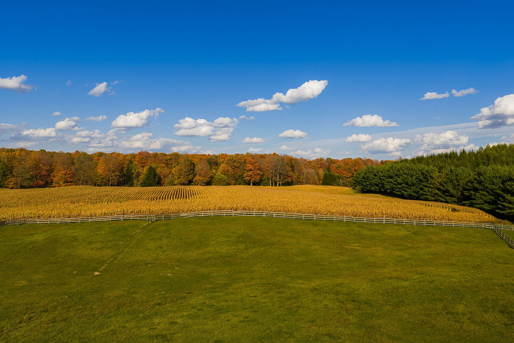  Country Living - 物件實景