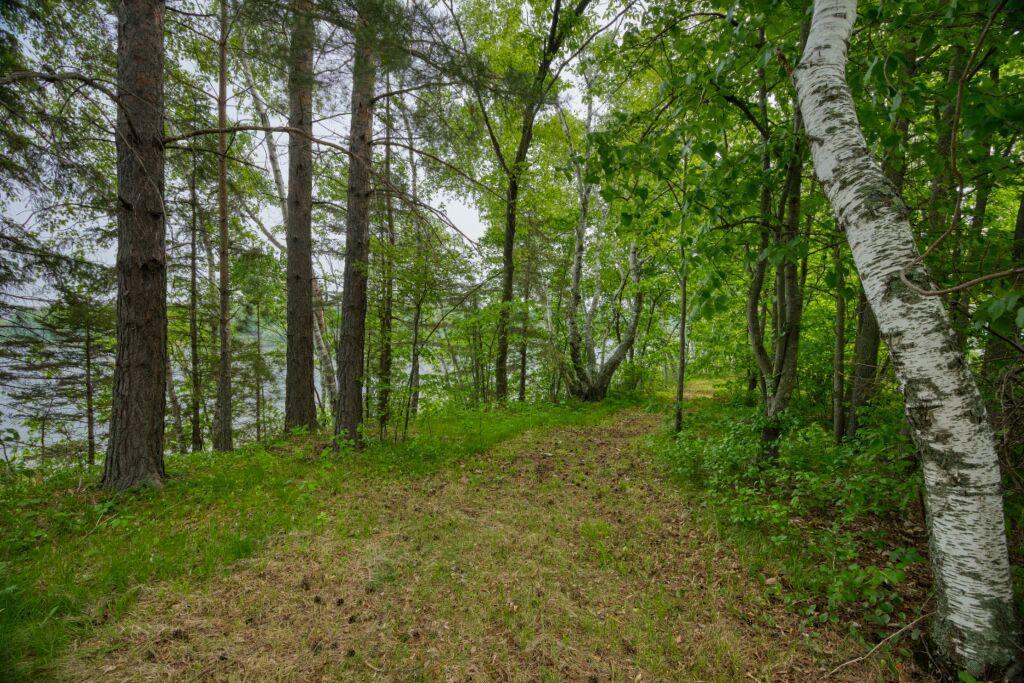 Grand Rapids, Minnesota, 55744, United States, 1 Bedroom Bedrooms, ,Residential,For Sale,1848119