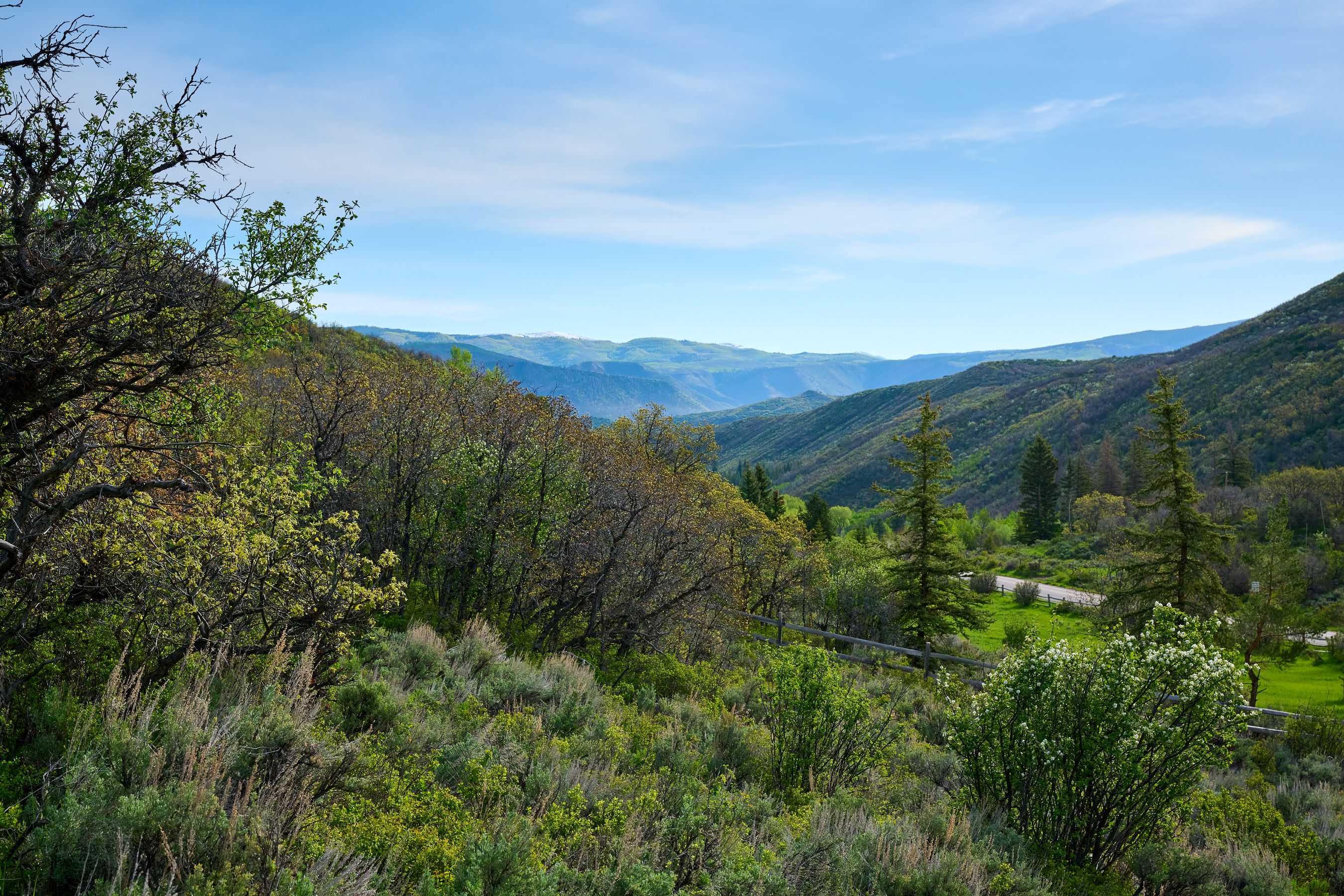  51 Shield O Road, Snowmass, CO, 81654 - 物件實景