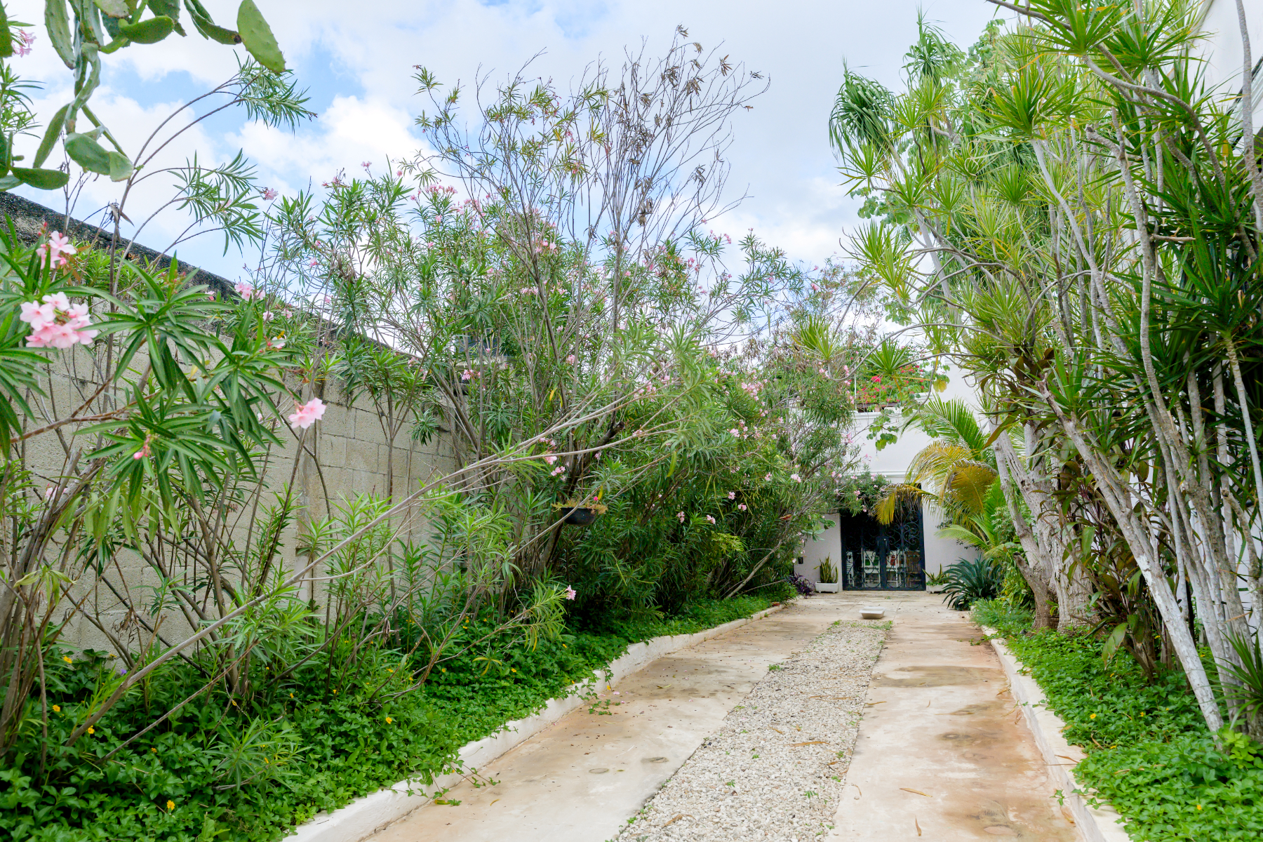  DOWNTOWN MERIDA HERITAGE RETREAT - 物件實景