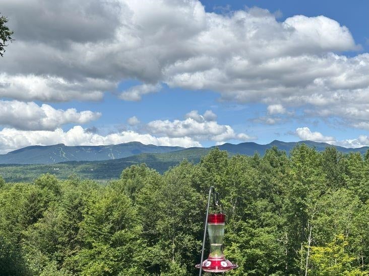 Stowe, Vermont, 05672, United States, 3 Bedrooms Bedrooms, ,2 BathroomsBathrooms,Residential,For Sale,1907047