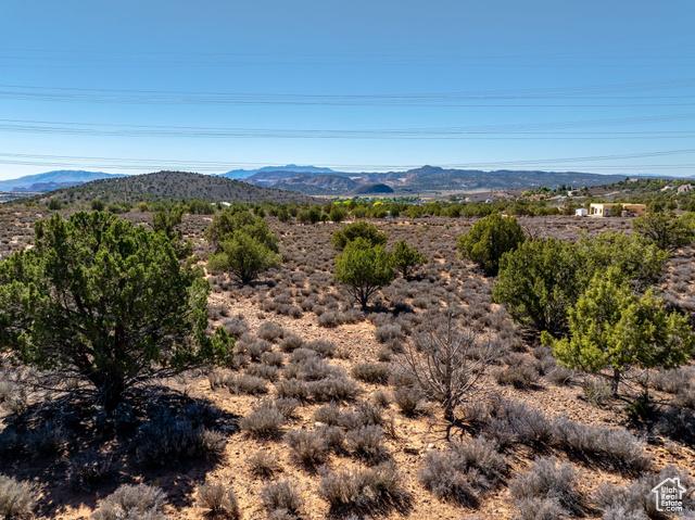 Diamond Valley, Utah, 84770, United States, ,Residential,For Sale,1982151
