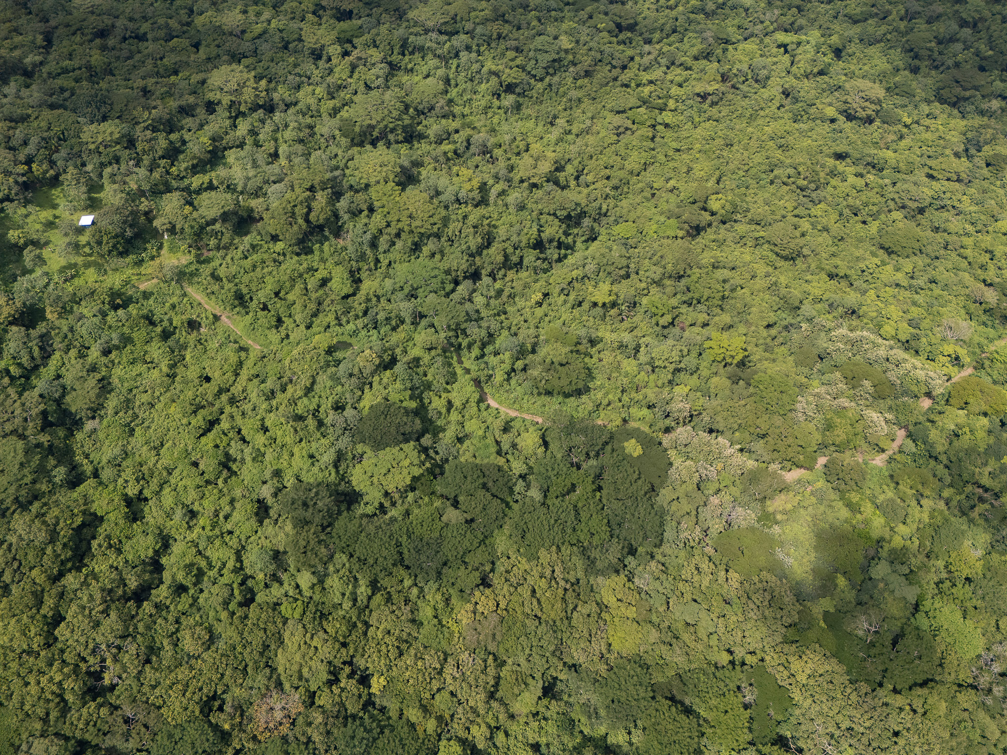 Cabuya, Puntarenas, 60111, CR, ,Land,For Sale,1999062