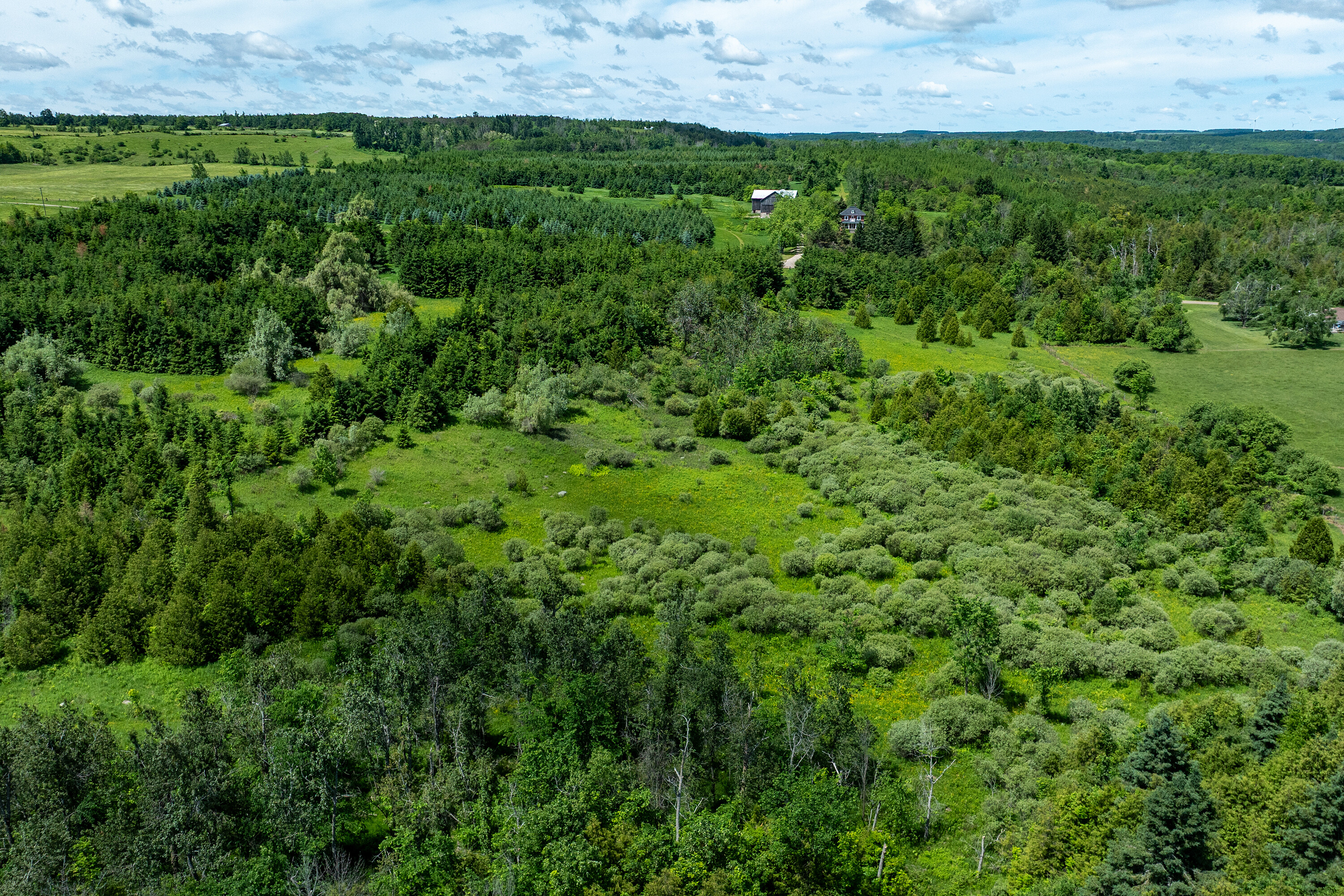  50 acre parcel in Mulmur ON - 物件實景