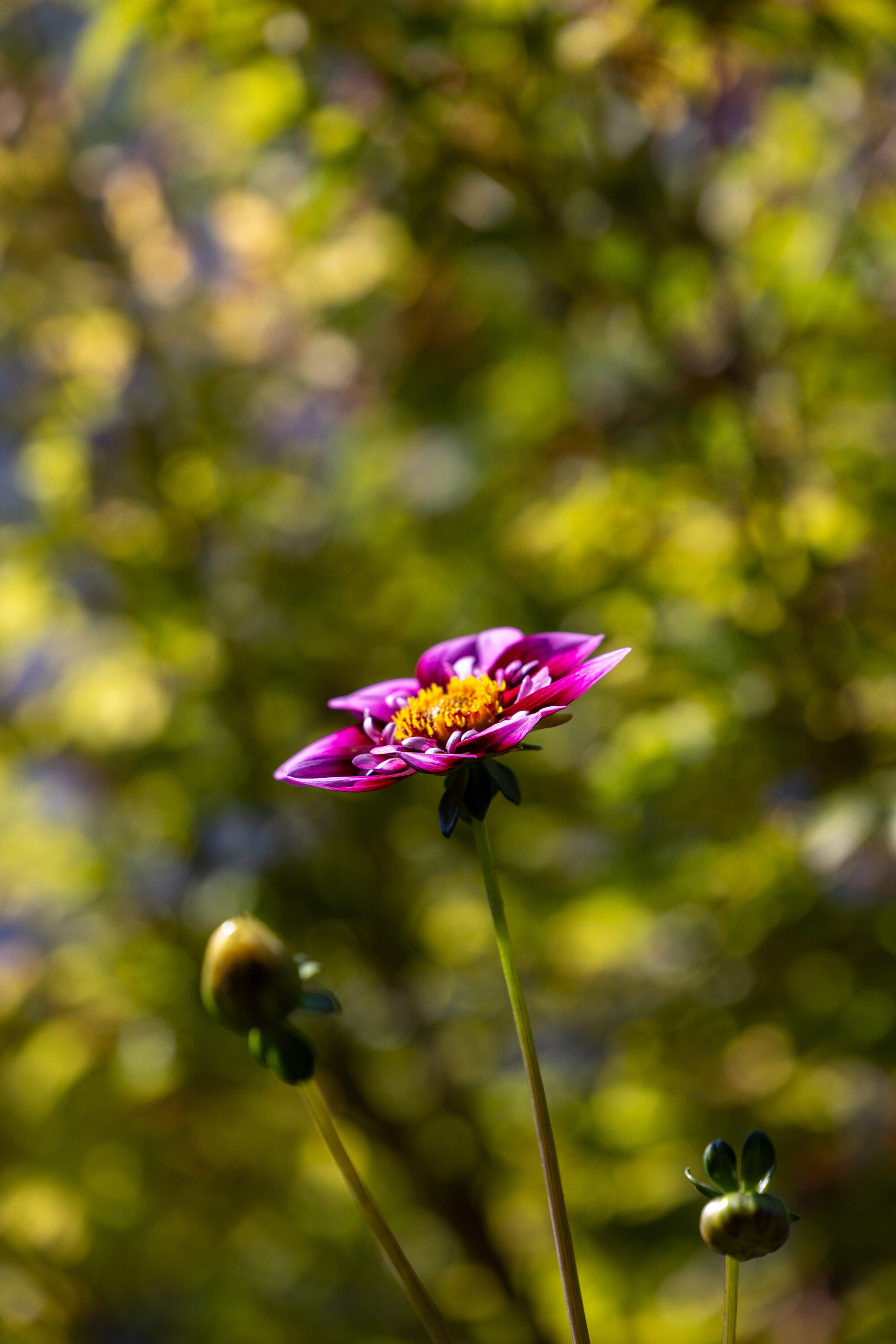  Discerning Character - 物件實景