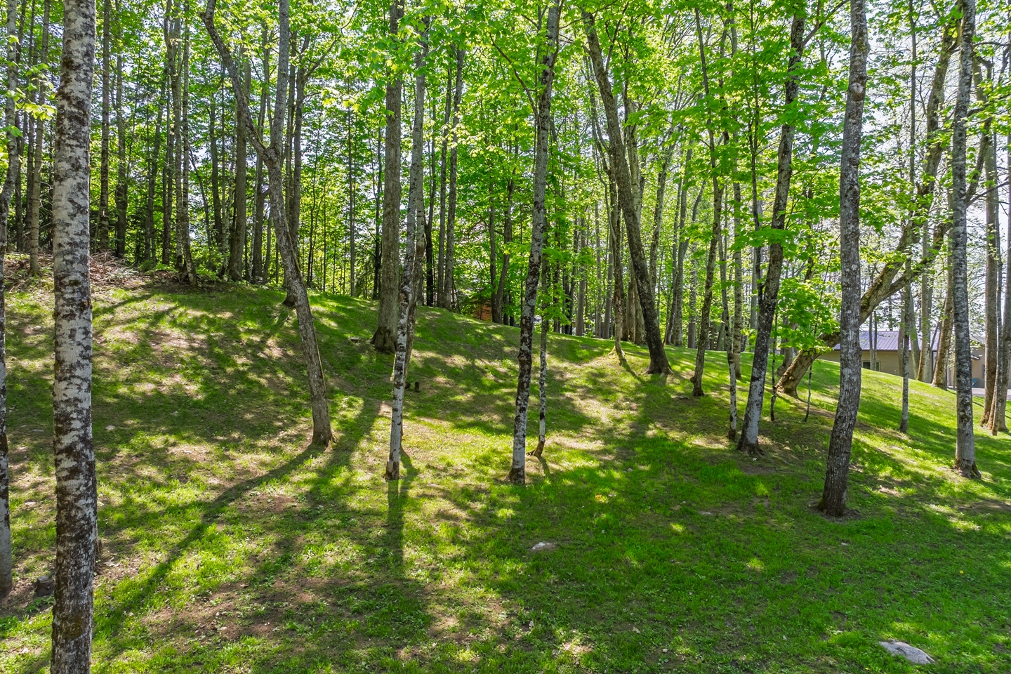 Oma, Wisconsin, 54534, United States, 2 Bedrooms Bedrooms, ,1 BathroomBathrooms,Residential,For Sale,2048309