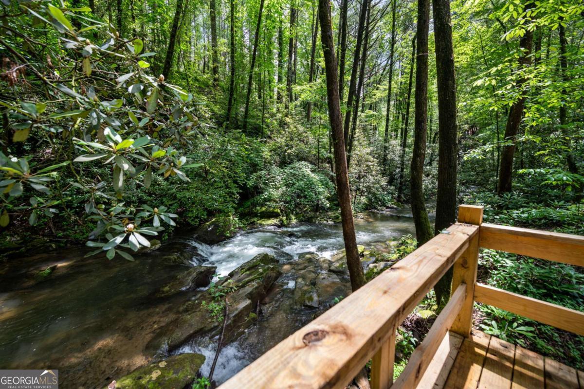 Ellijay, Georgia, 30540, United States, 5 Bedrooms Bedrooms, ,5 BathroomsBathrooms,Residential,For Sale,1868154