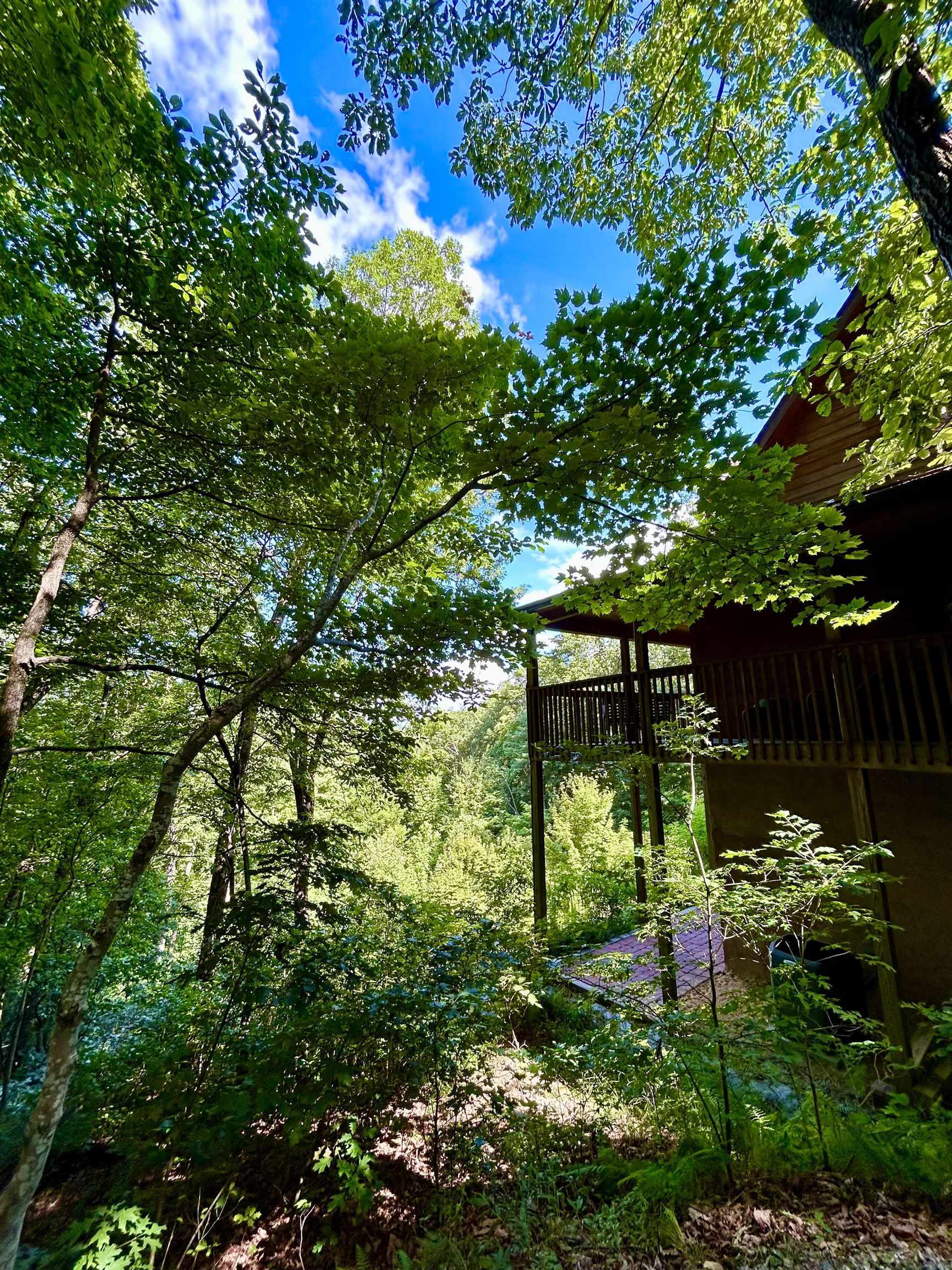 Cleveland, South Carolina, 29635, United States, 3 Bedrooms Bedrooms, ,3 BathroomsBathrooms,Residential,For Sale,1977097