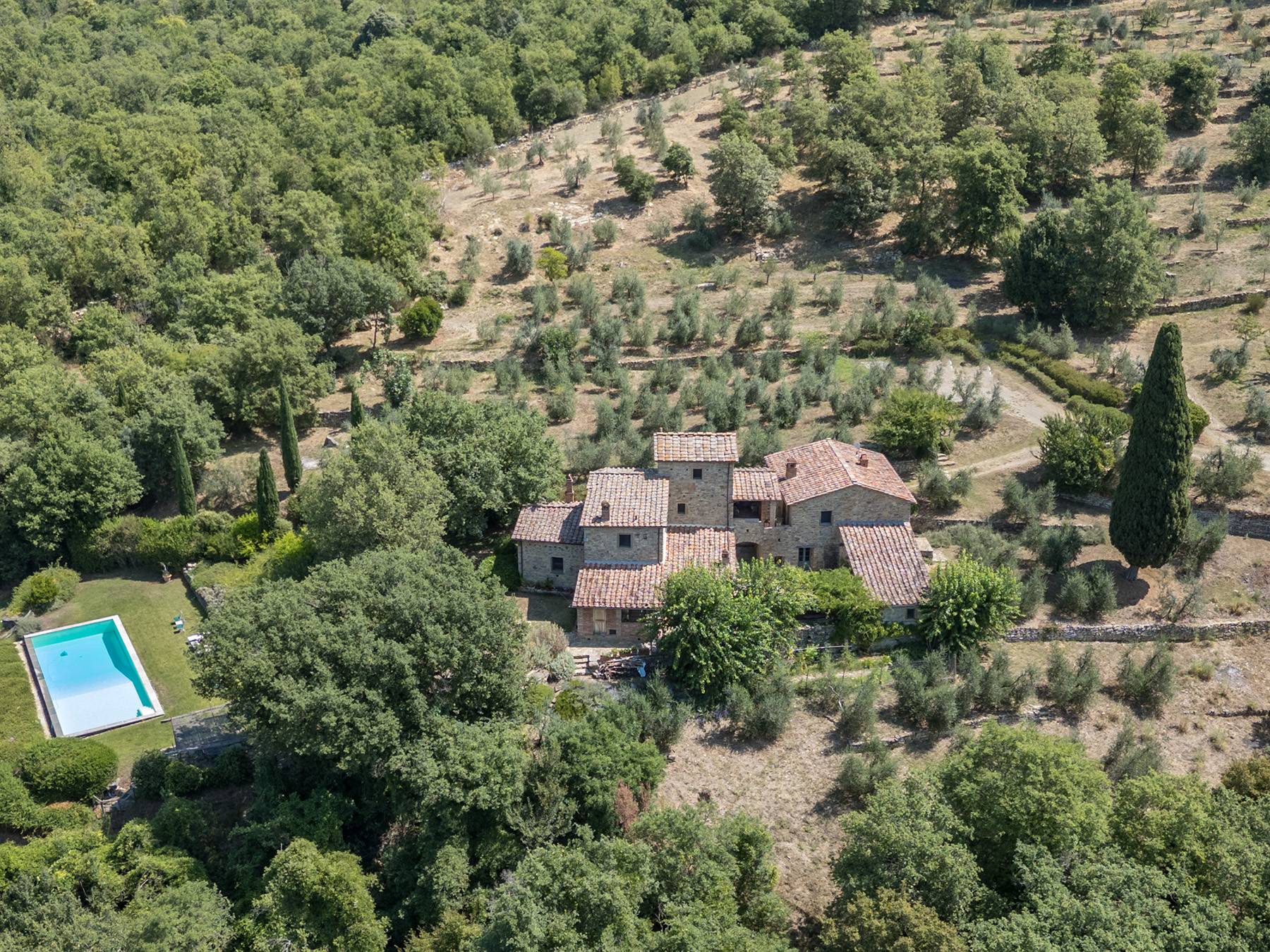 Beautifully restored historic farmhouse with pool and olive grove 