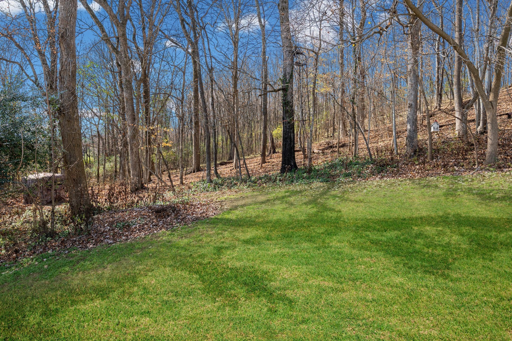 Lewisburg, Tennessee, 37091, United States, 4 Bedrooms Bedrooms, ,3 BathroomsBathrooms,Residential,For Sale,1999662