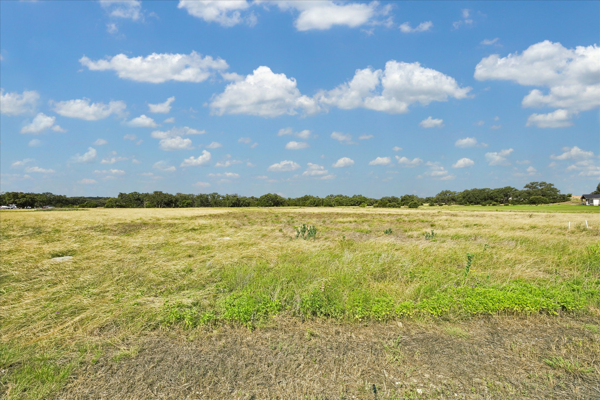  Premier 1.15-Acre Lot - 物件實景
