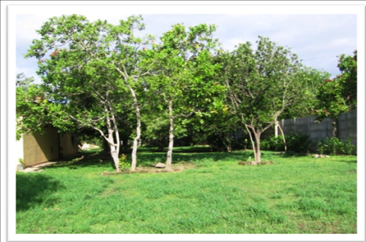 Liberia, Guanacaste, CR, 4 Bedrooms Bedrooms, ,Residential,For Sale,1621783
