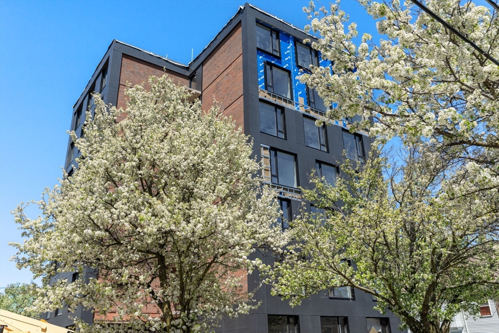 Somerville, Massachusetts, 02143, United States, 3 Bedrooms Bedrooms, ,3 BathroomsBathrooms,Residential,For Sale,1908258