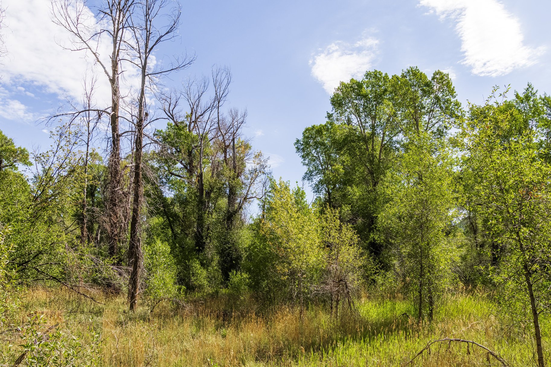  Rare Weber River Frontage Homesite - 物件實景