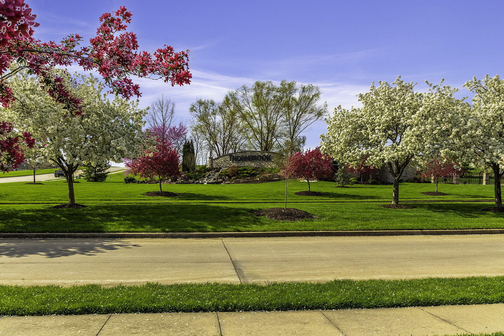 COLUMBIA, Missouri, 65203, United States, 5 Bedrooms Bedrooms, ,3 BathroomsBathrooms,Residential,For Sale,2023724
