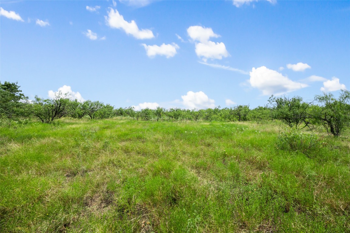 Jarrell, Texas, 76537, United States, ,Land,For Sale,1911504