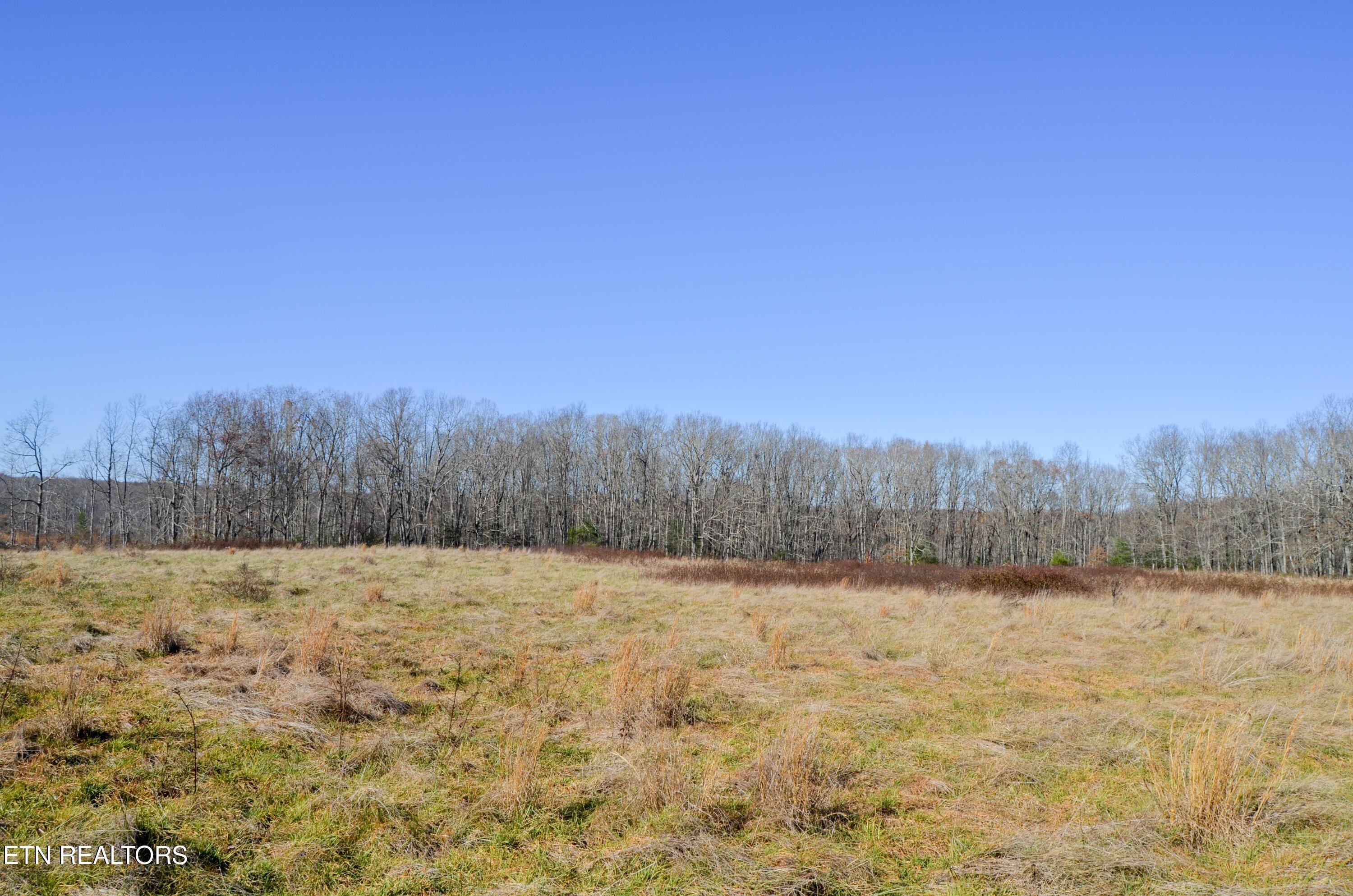 Crossville, Tennessee, 38555, United States, ,Land,For Sale,1978266