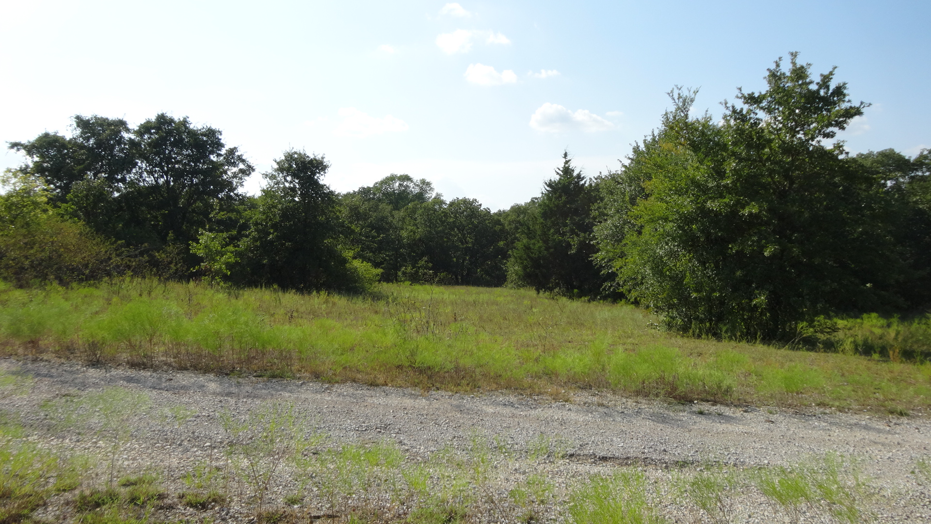0 Highway 114, Boyd, Texas, 76023, United States, ,Residential,For Sale,0 Highway 114,1008641