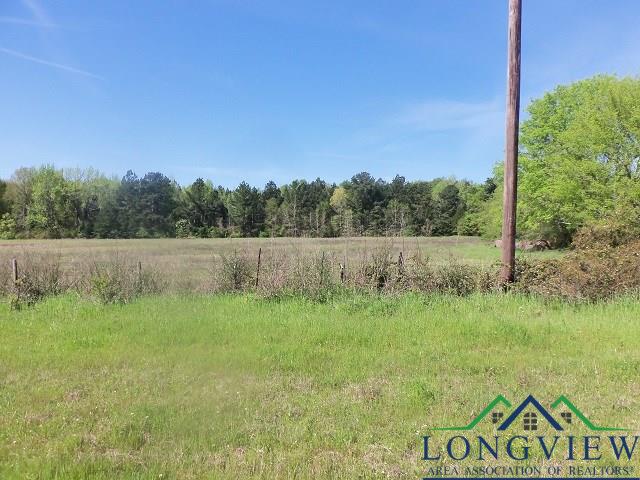 TBD U.S. HWY. 259 N., Kilgore, Texas, 75662, United States, ,Land,For Sale,TBD U.S. HWY. 259 N.,1542568