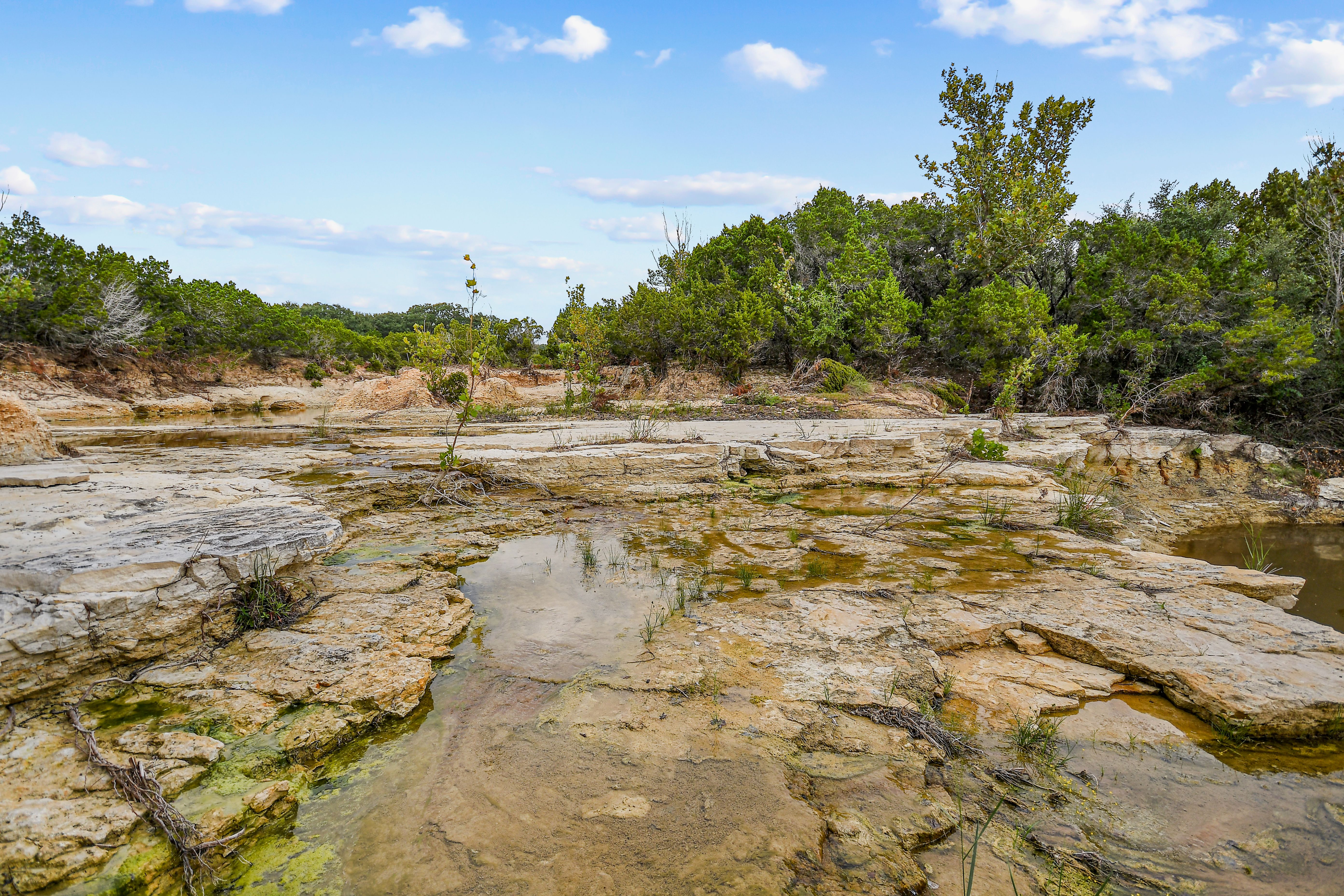  TBD Hwy 46 / Madrona Ranch Road, Pipe Creek, TX 78063 - 物件實景