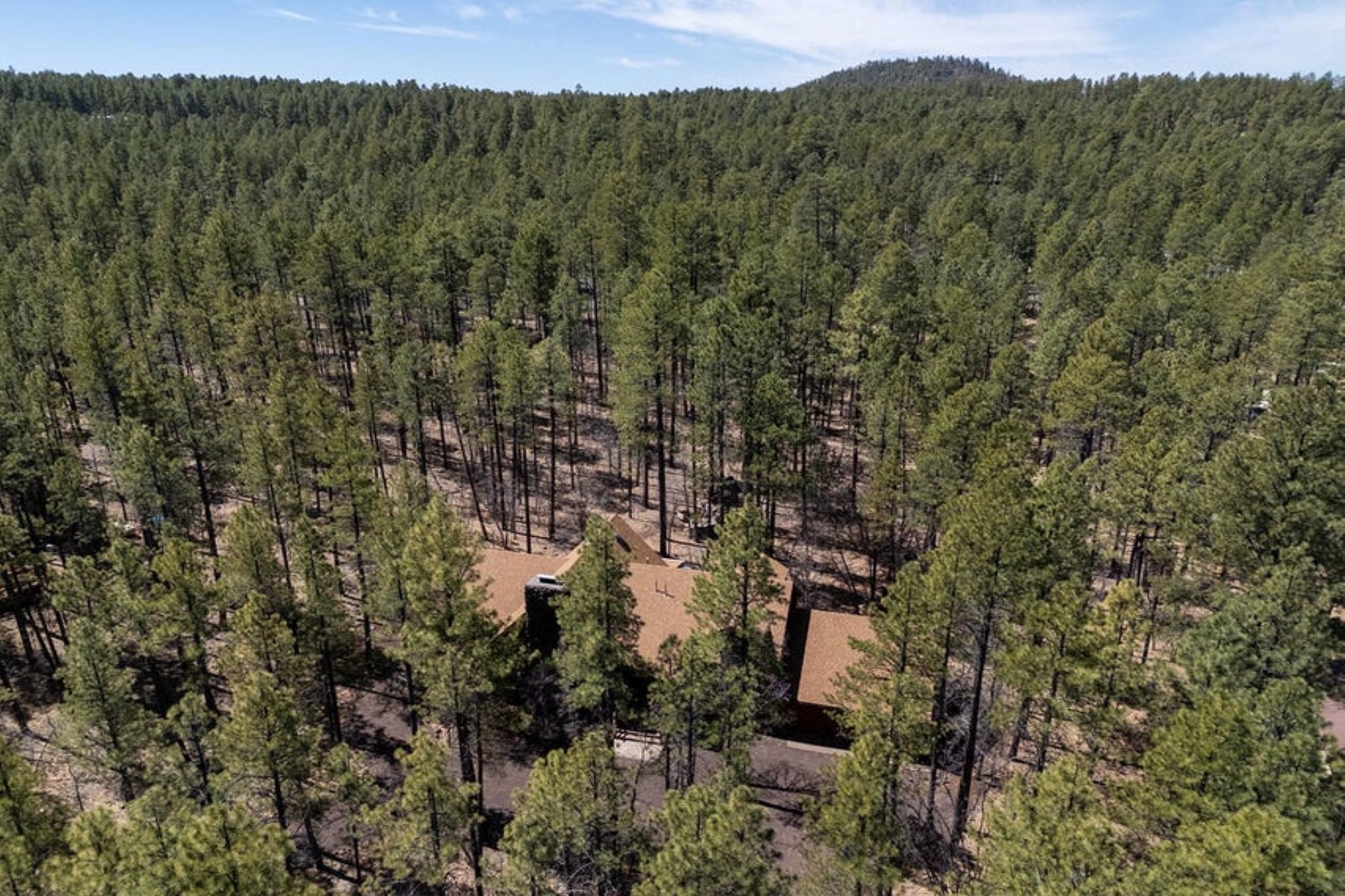  2735 Bobcat Gulch¦Pinetop, AZ - 物件實景