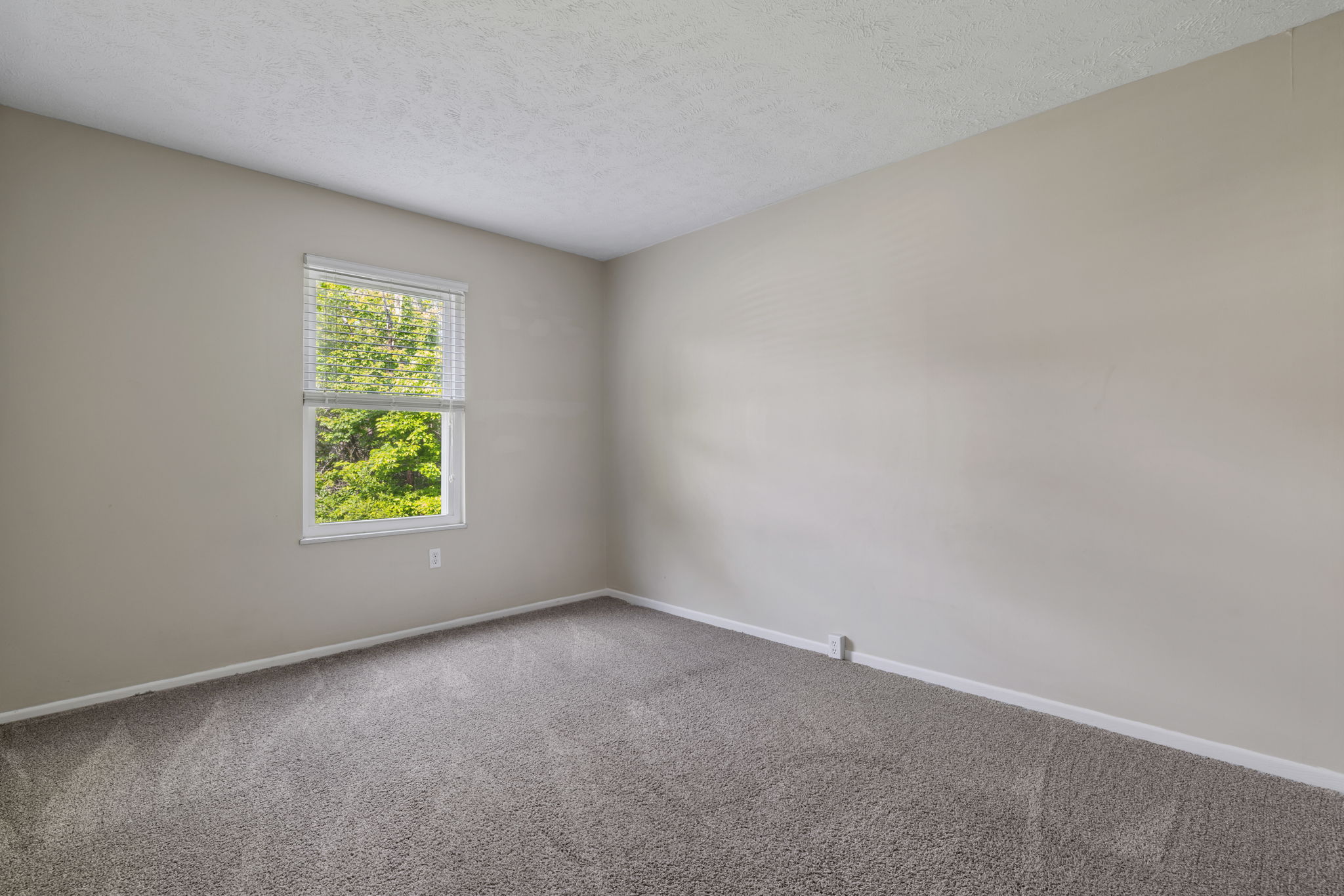  2104 Timberglen Drive, Imperial, PA 15126 - 物件實景