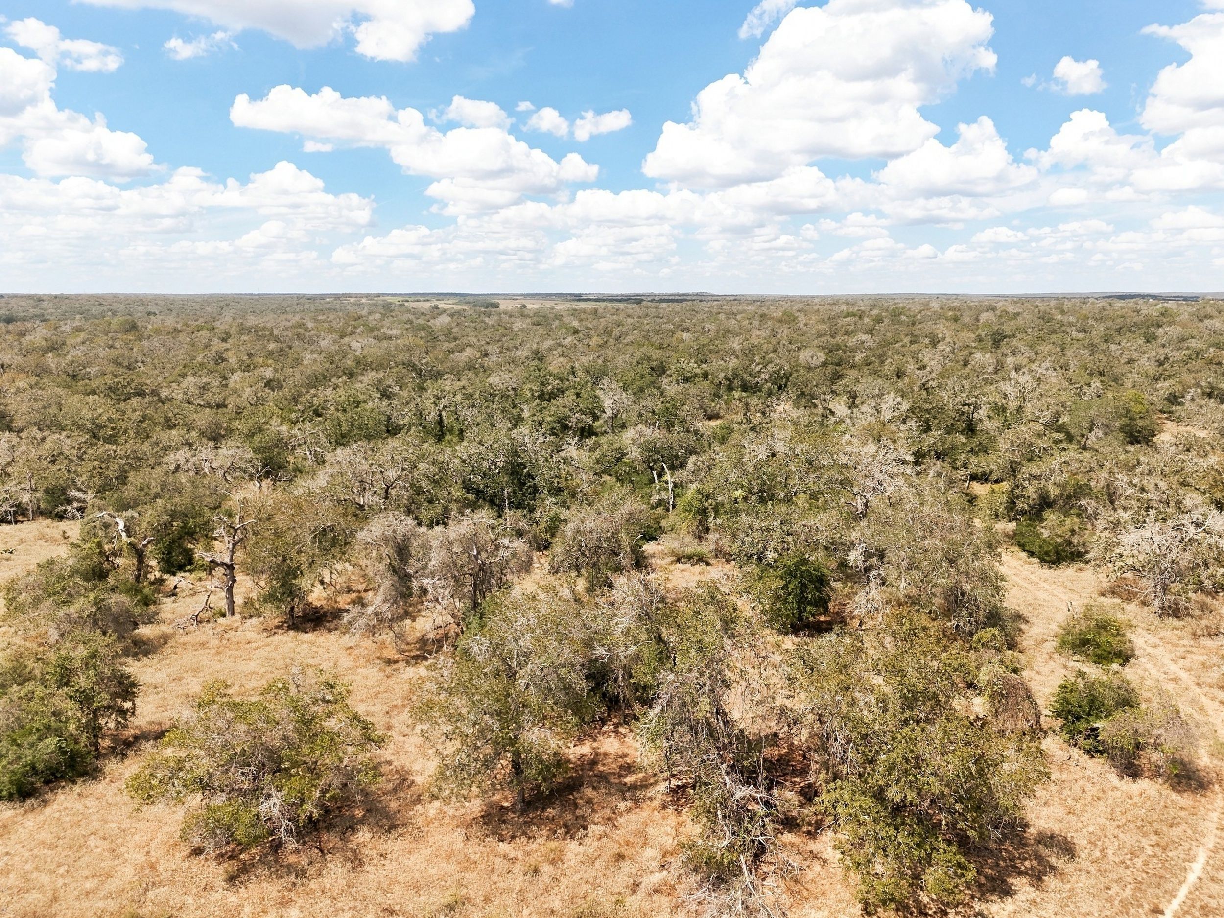  186+/- Acre Post Oak Hill Ranch - 物件實景