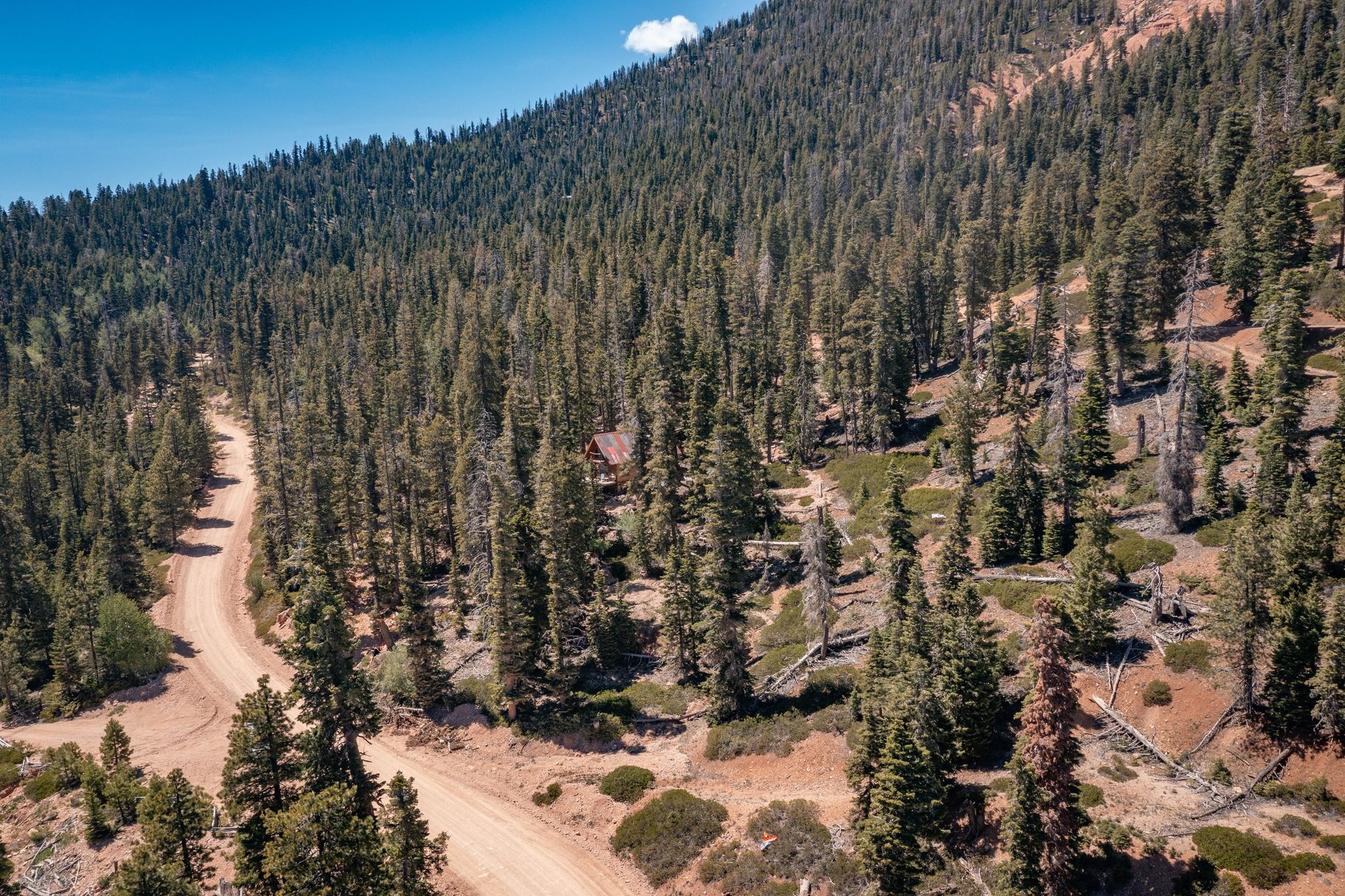  Quiet Mountain Retreat Near Navajo Lake - 物件實景