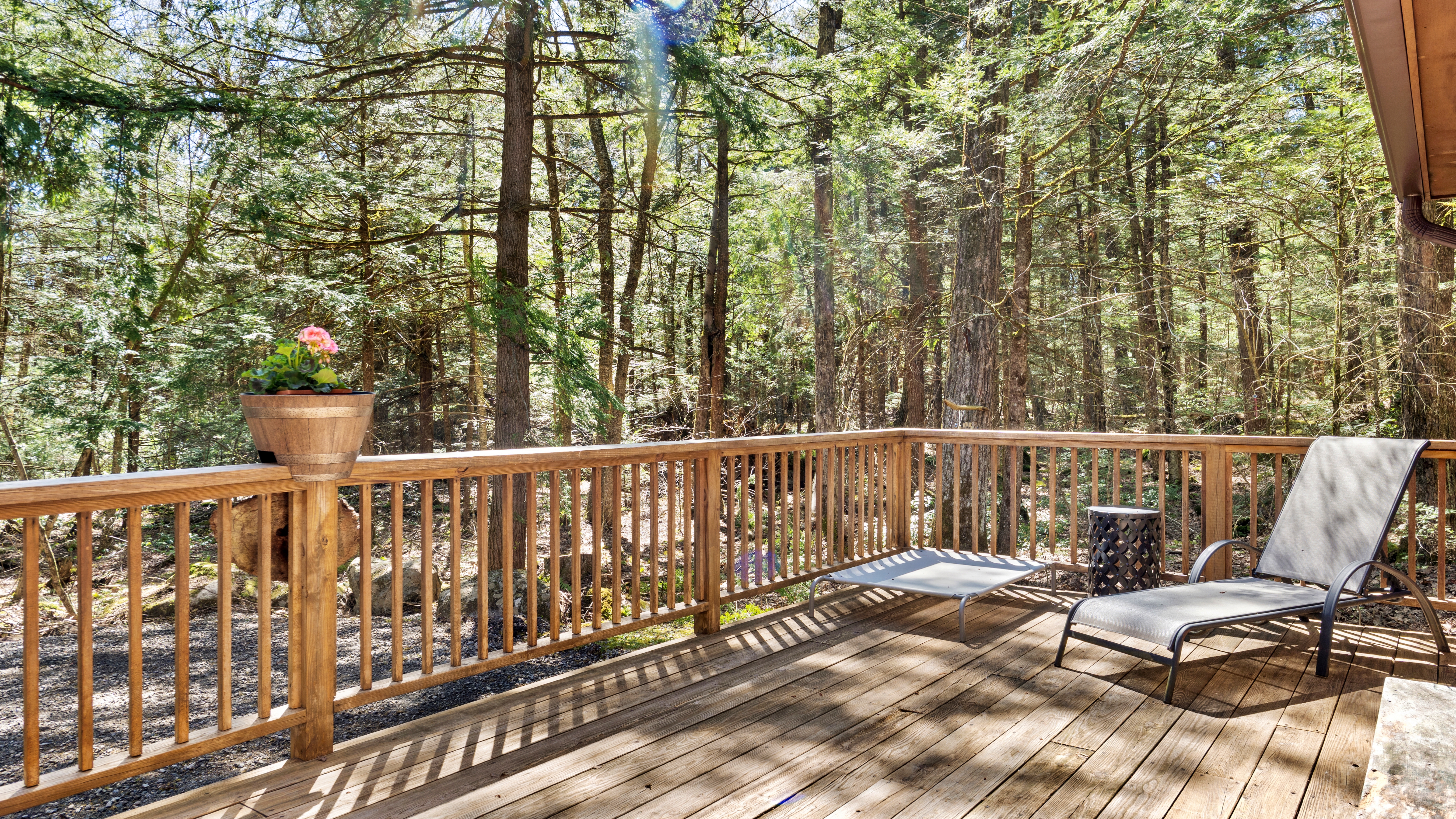  Berkshire Summer Retreat: Modern Cabin with Lake & Club Access - 物件實景