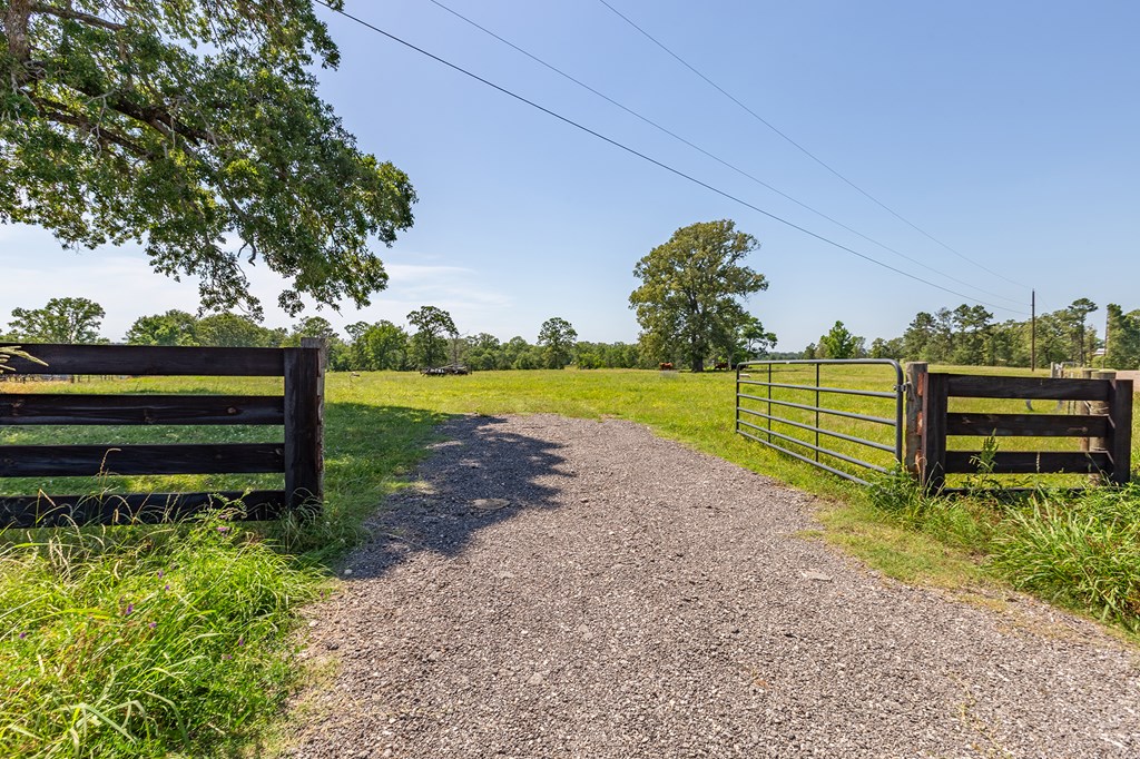 Pollok, Texas, 75969, United States, ,Residential,For Sale,1928088