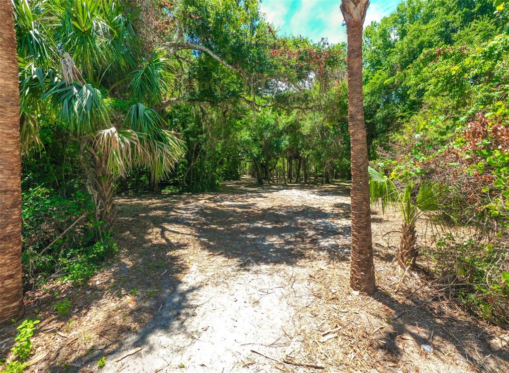 Palm Coast, Florida, 32137, United States, ,Land,For Sale,2000398