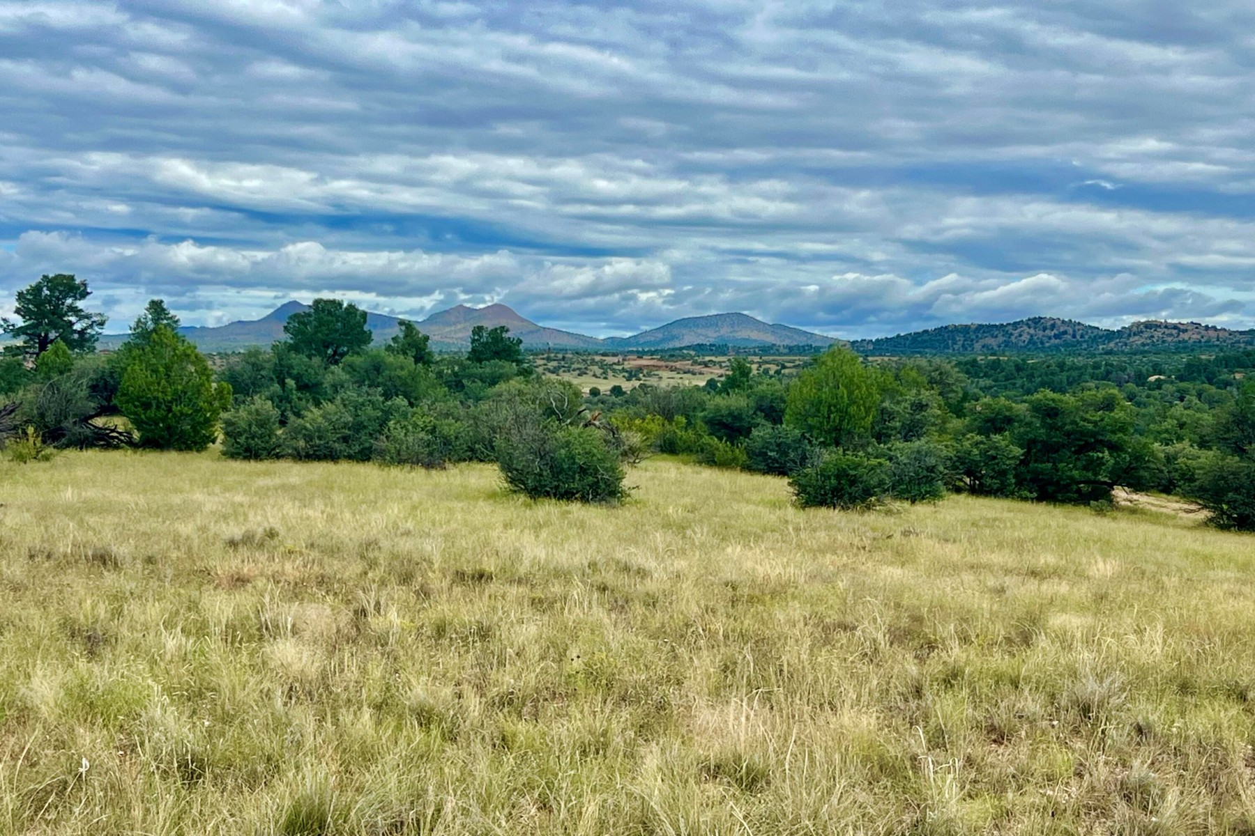  14565 N Puntenney Road¦Prescott, AZ - 物件實景