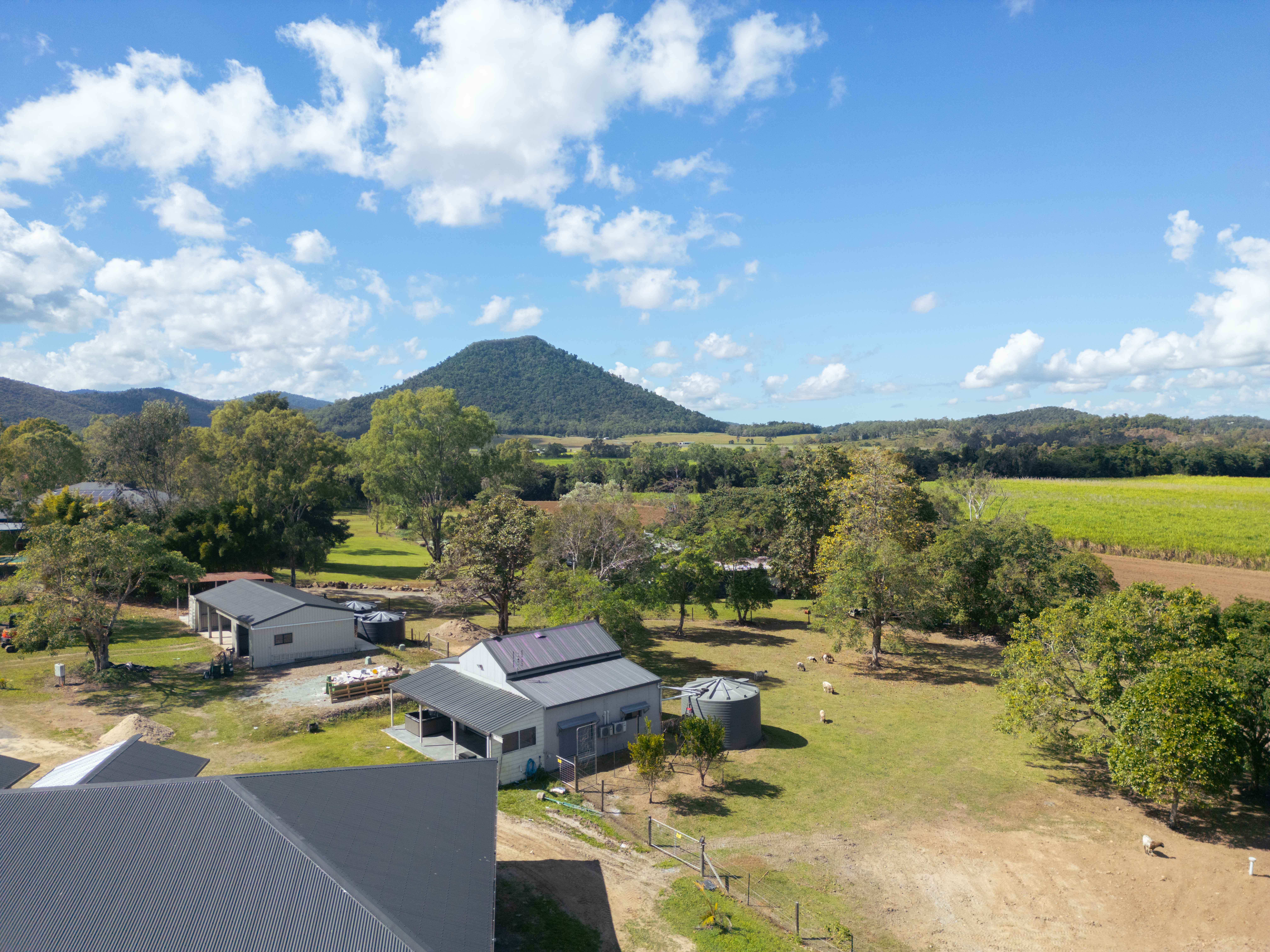  77A Windemere Drive, Strathdickie - 物件實景