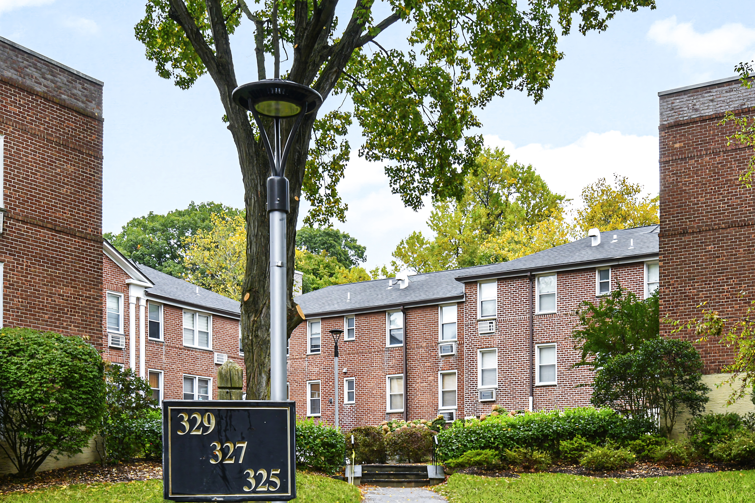  Beautiful Palmer Terrace Co-op - 物件實景
