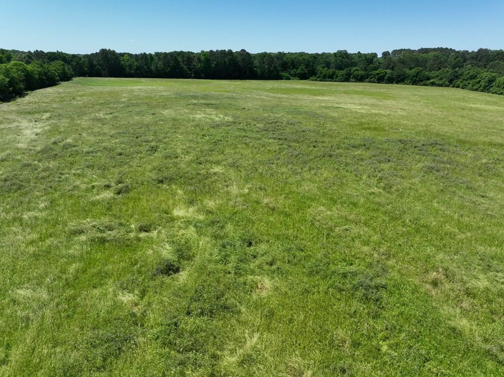 CHATSWORTH, Georgia, 30705, United States, ,Residential,For Sale,1828232