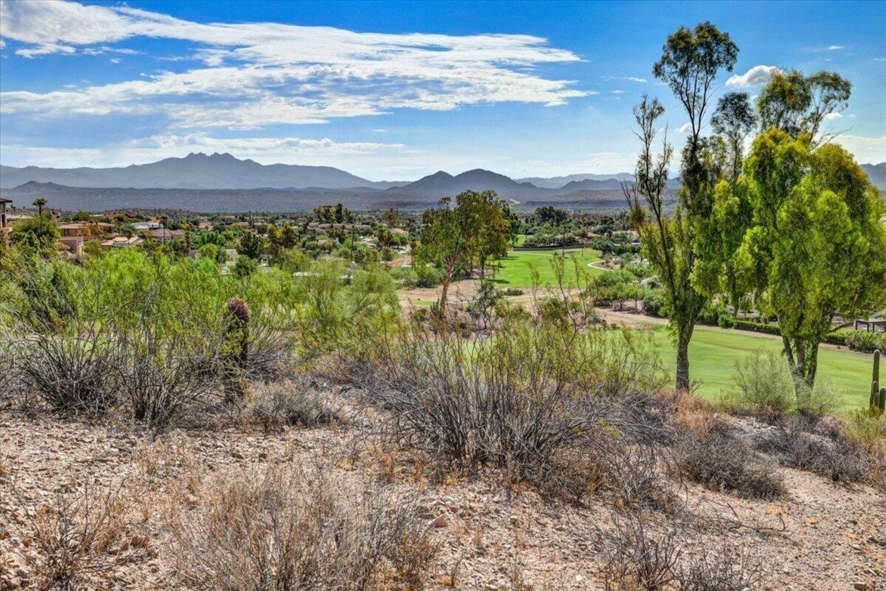  10806 N Cherry Hills Court¦Fountain Hills, AZ - 物件實景