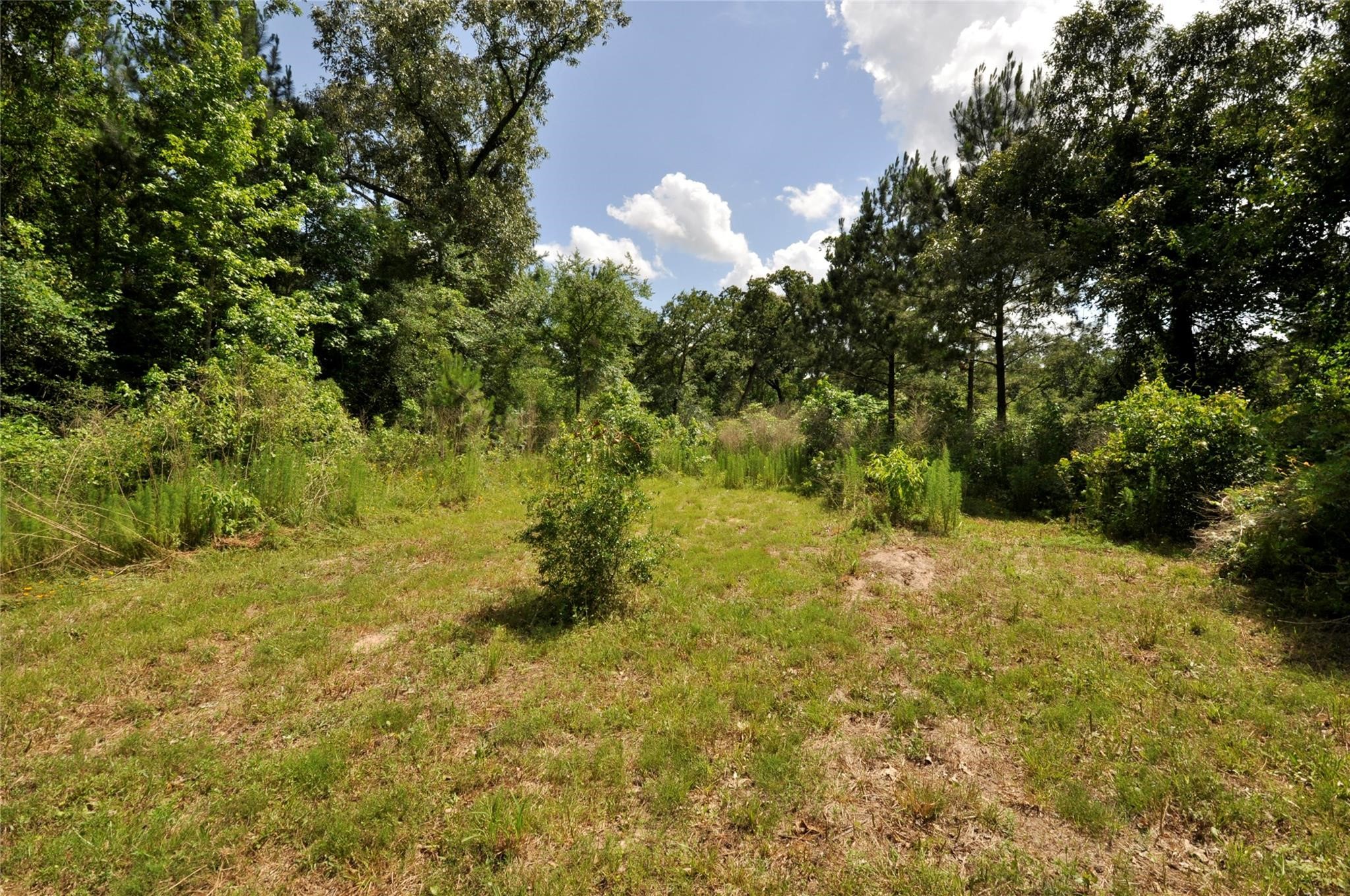 Magnolia, Texas, 77355, United States, ,Land,For Sale,1896028