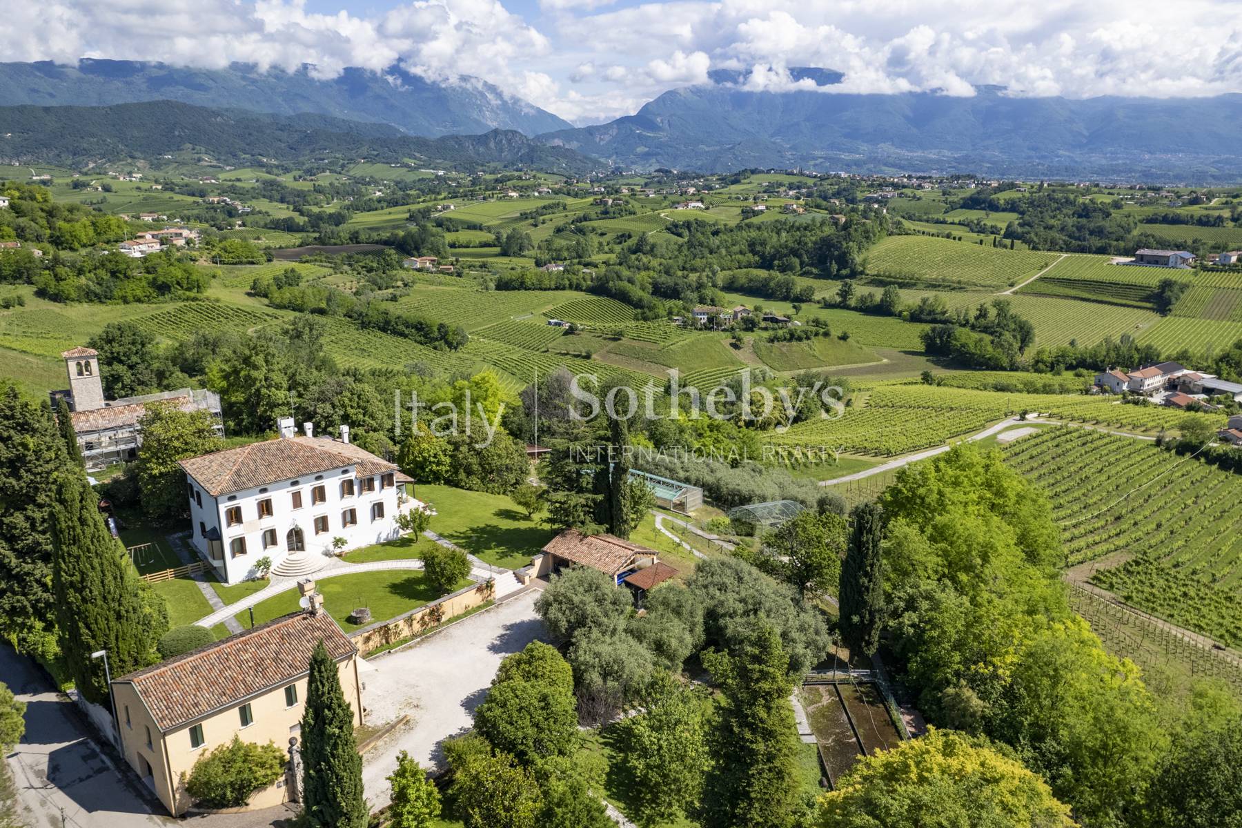  Hillside villa with olive grove and caretaker